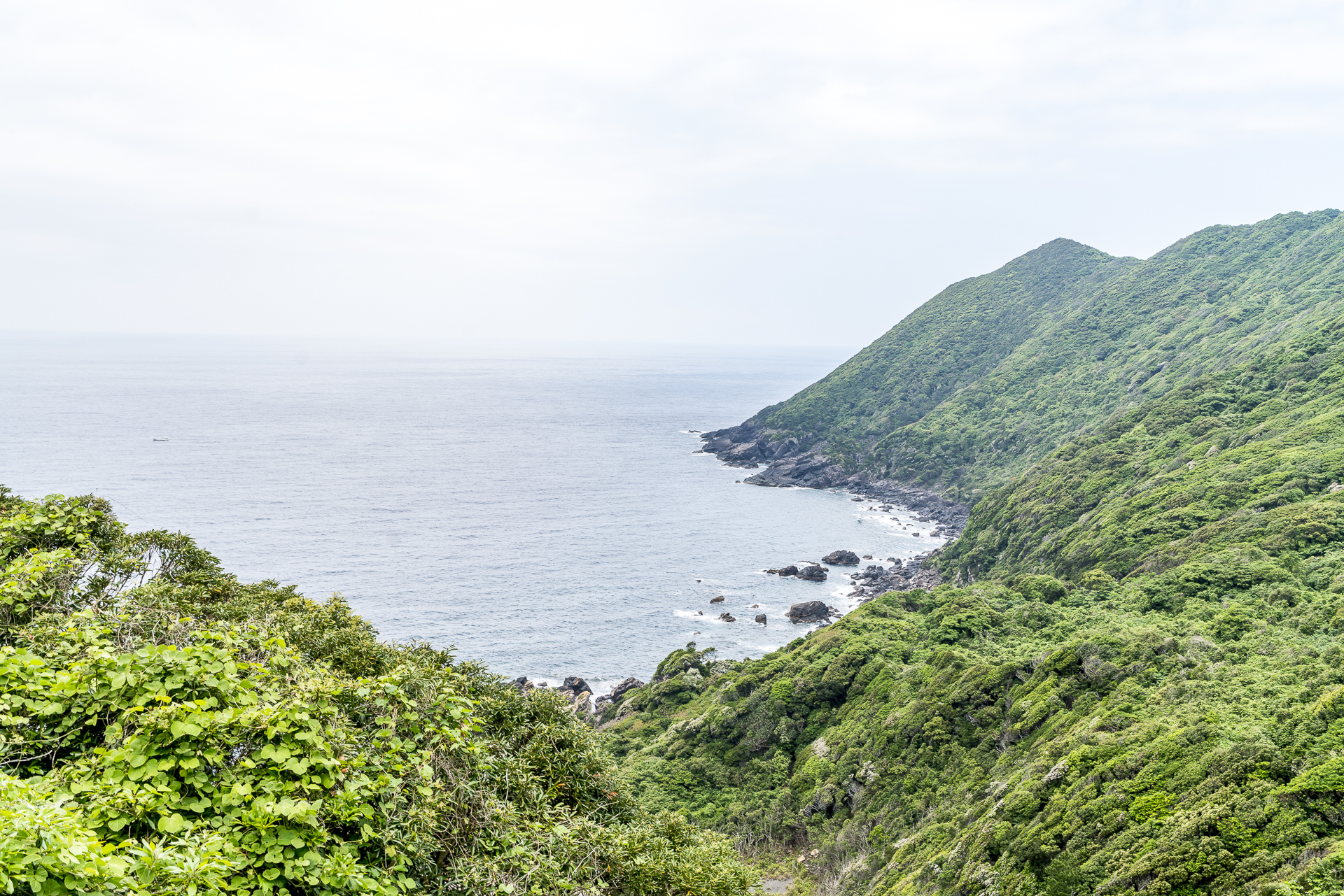 Yakushima Westküste
