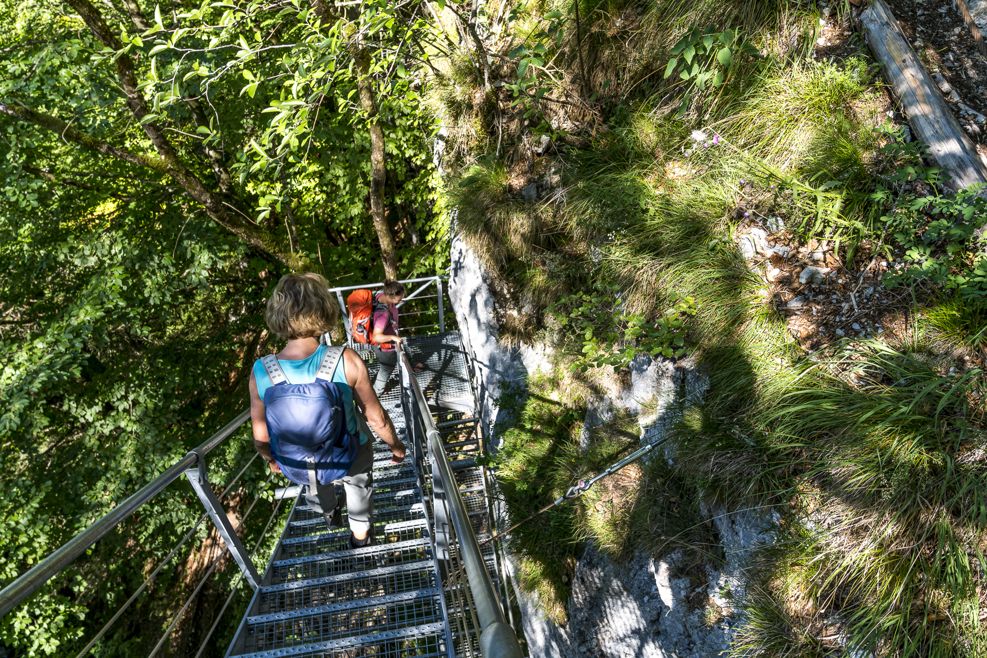 Abstieg zum Buschbach