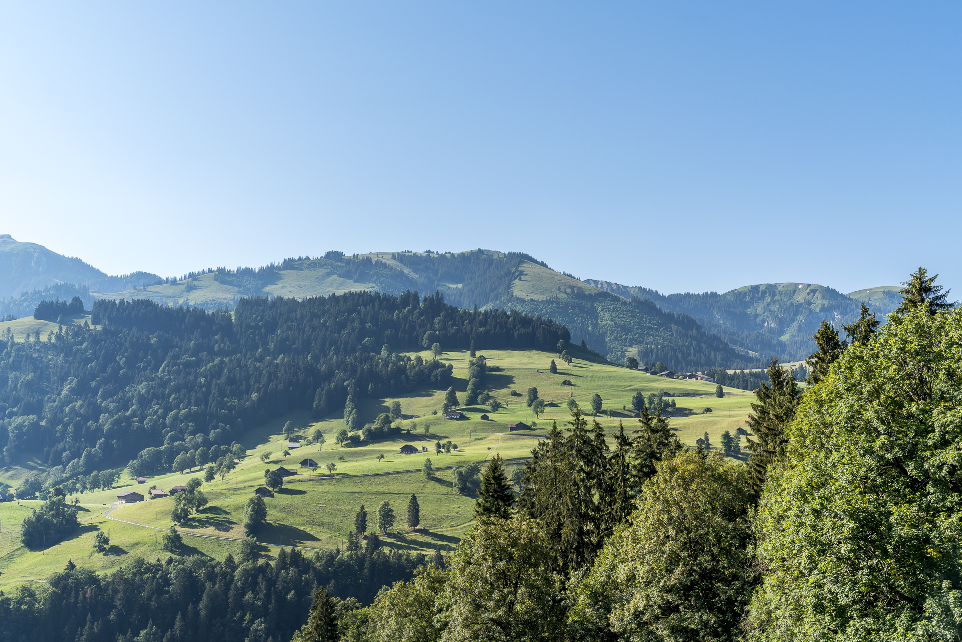 Aussicht Simmental