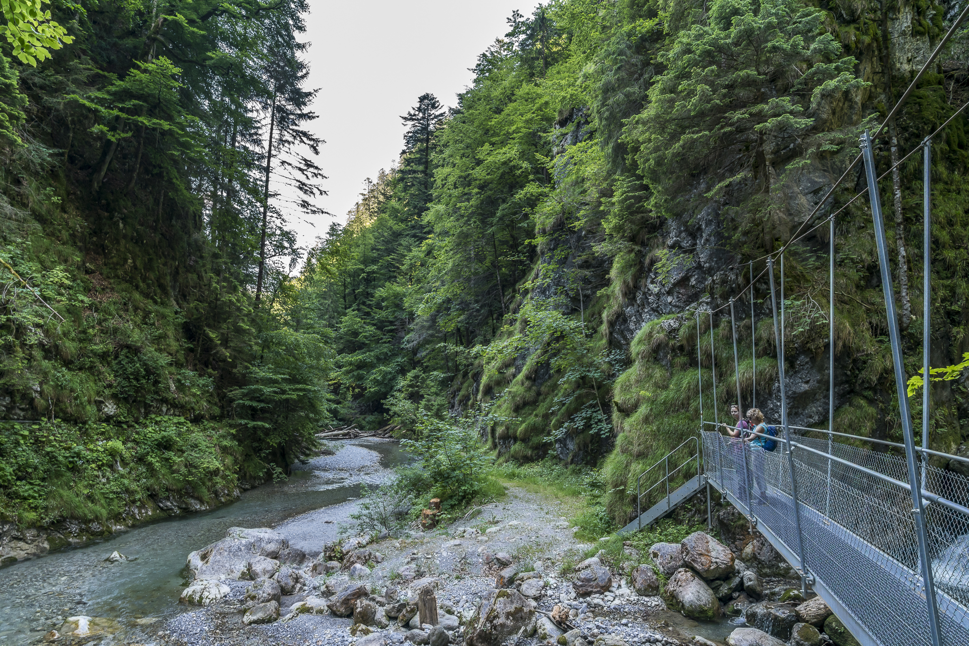 Badwald in Weissenburg