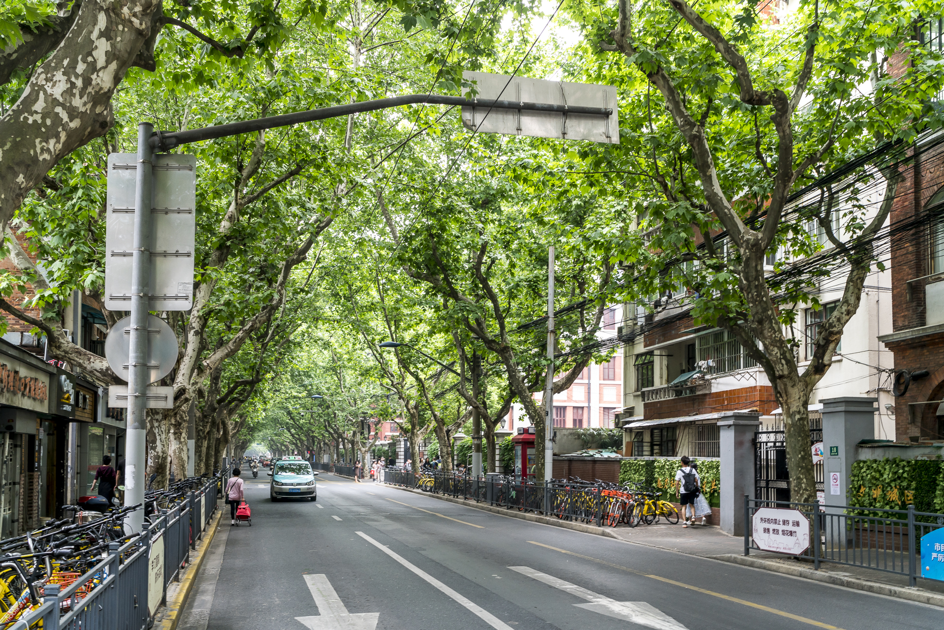French Concession Shanghai