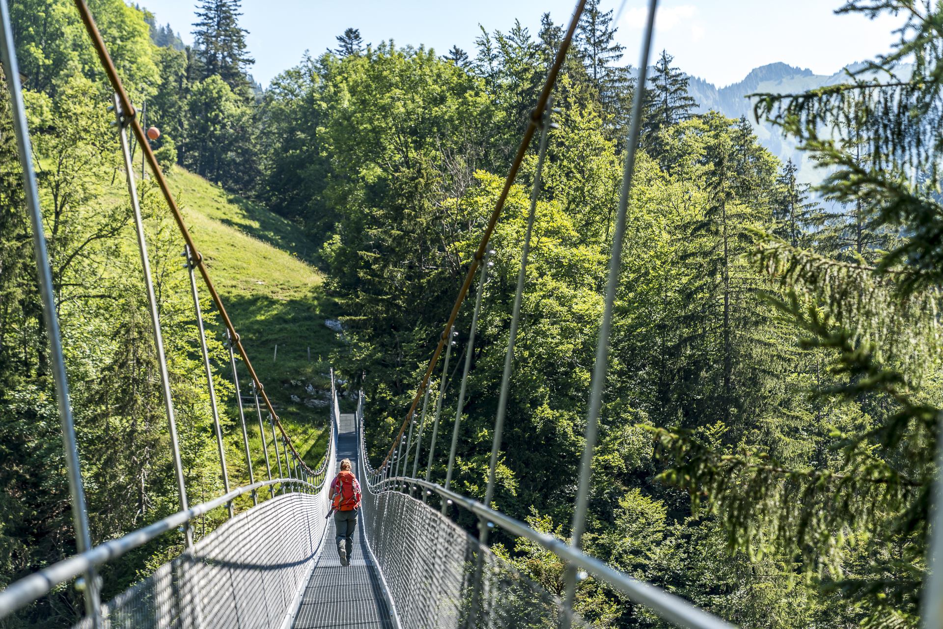 Hängebrücke Leiternweide