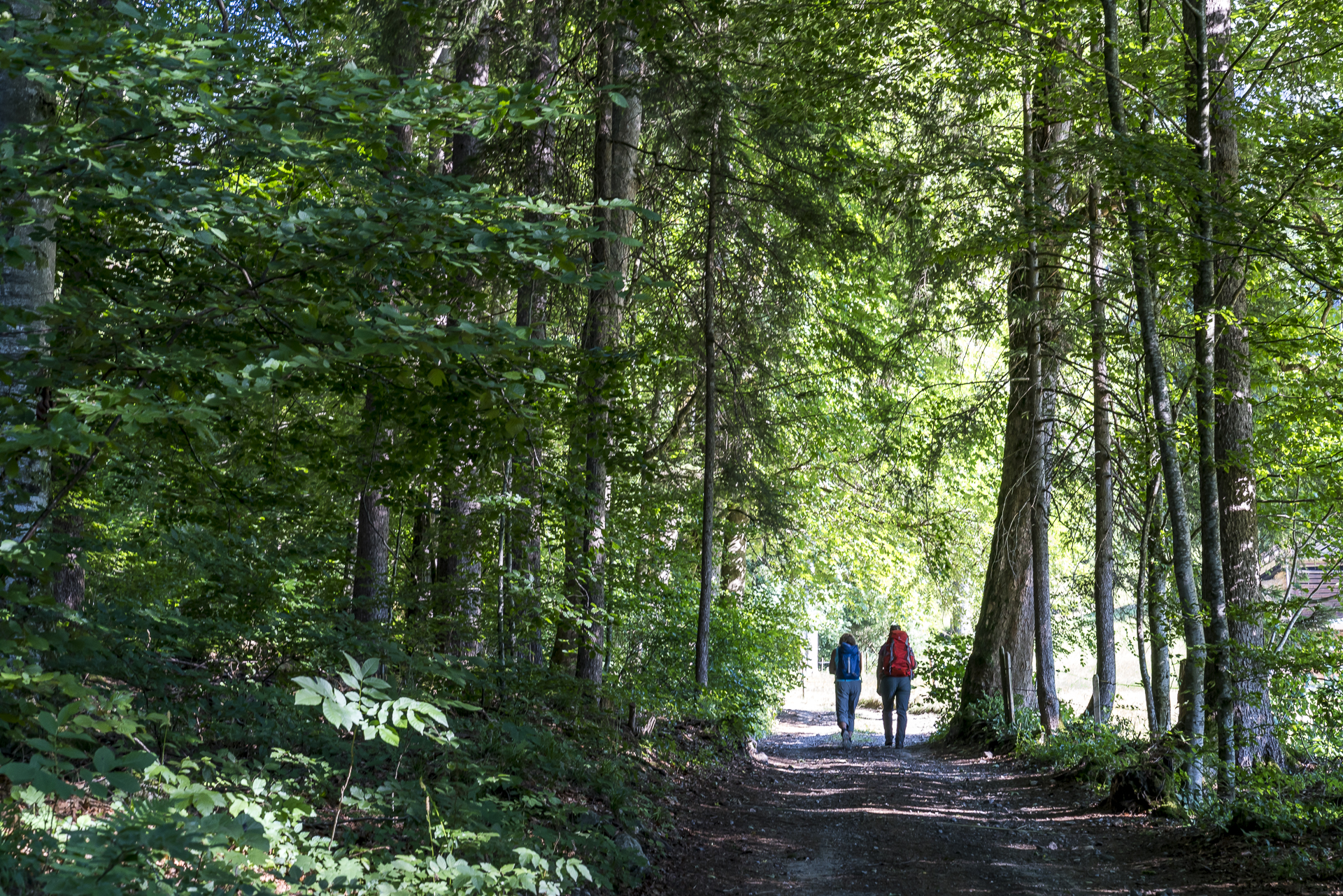 Oberwi Weissenburg Wanderweg
