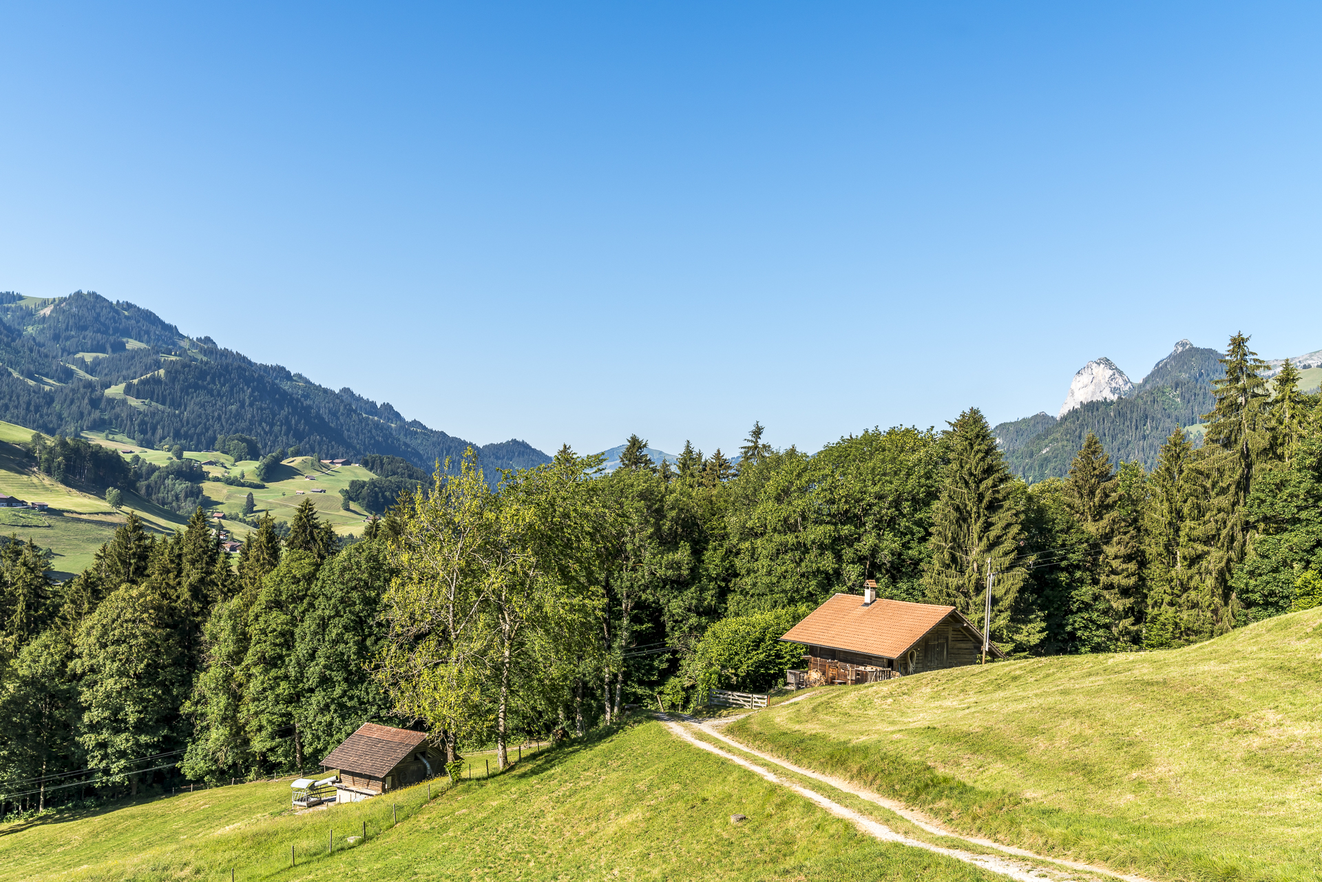 Wandern im Simmental