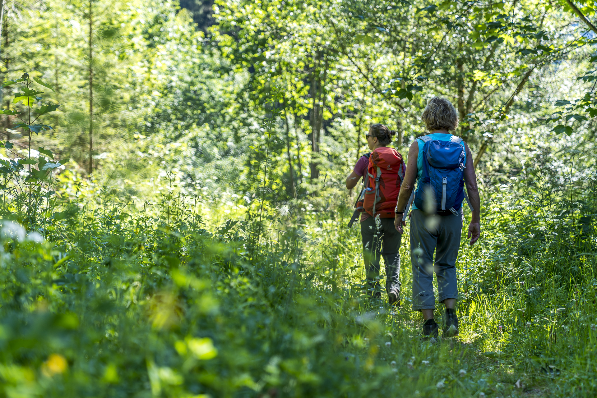 Wanderung zur Hängebrücke Leiternweide