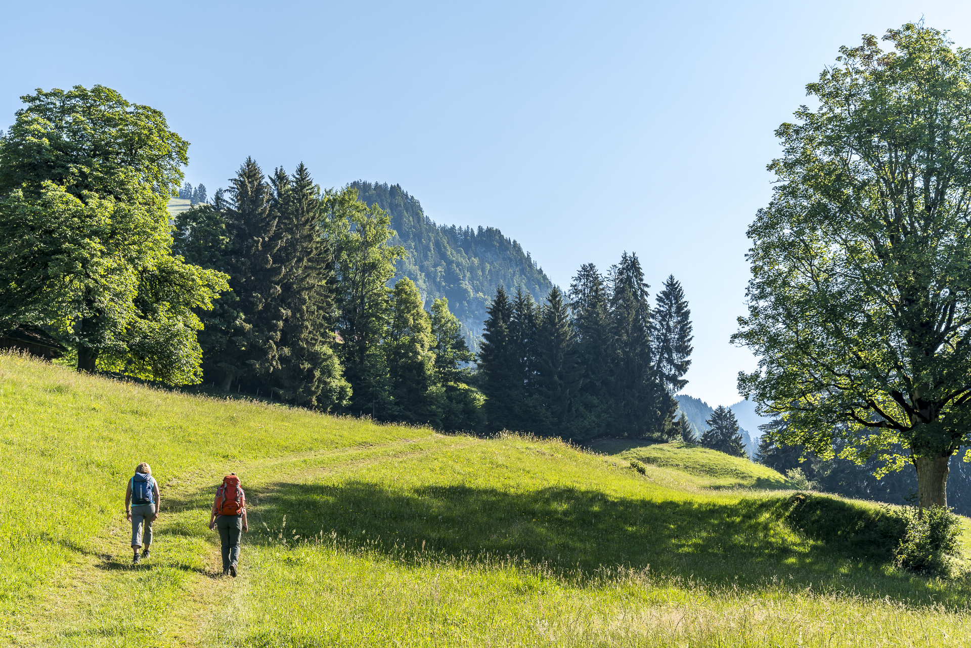 Wanderung Leiterweide
