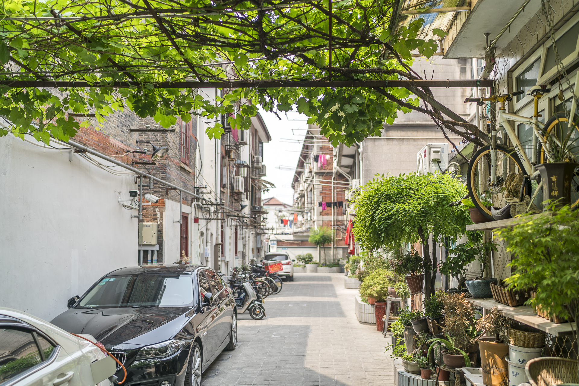 Xintiandi Backalley