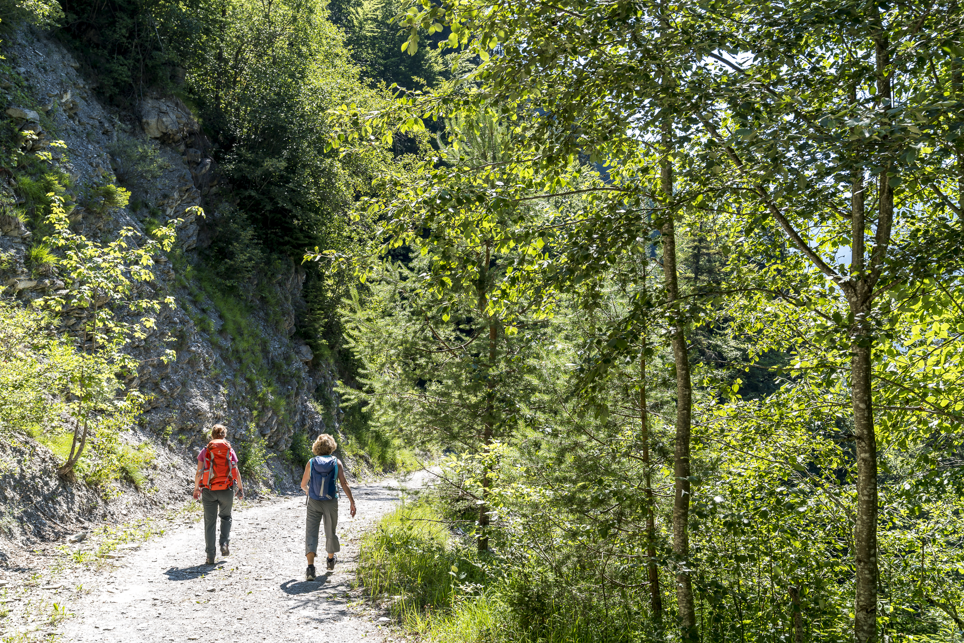 Wanderweg nach Weissenburg