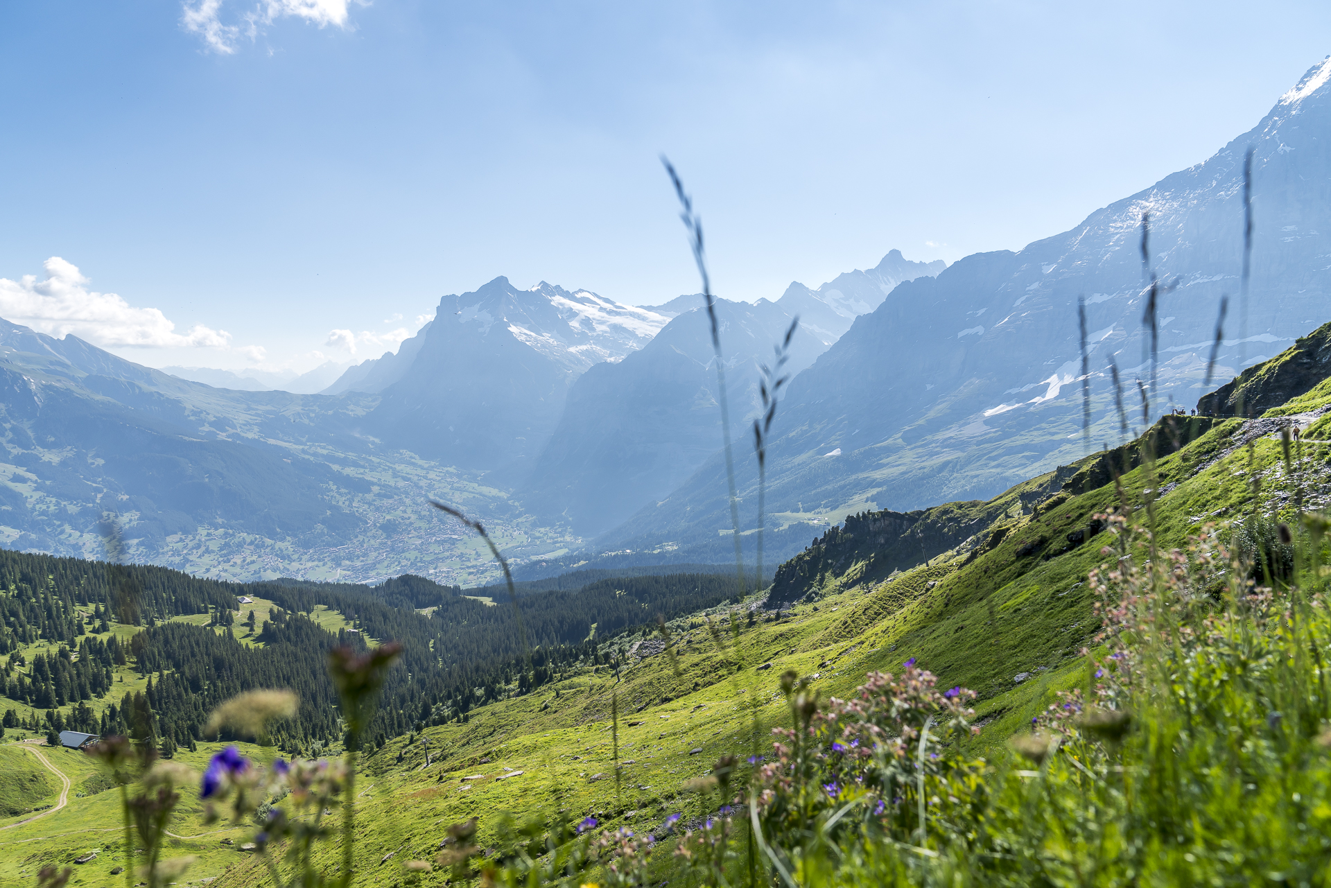 Panorama Grindelwaldtal
