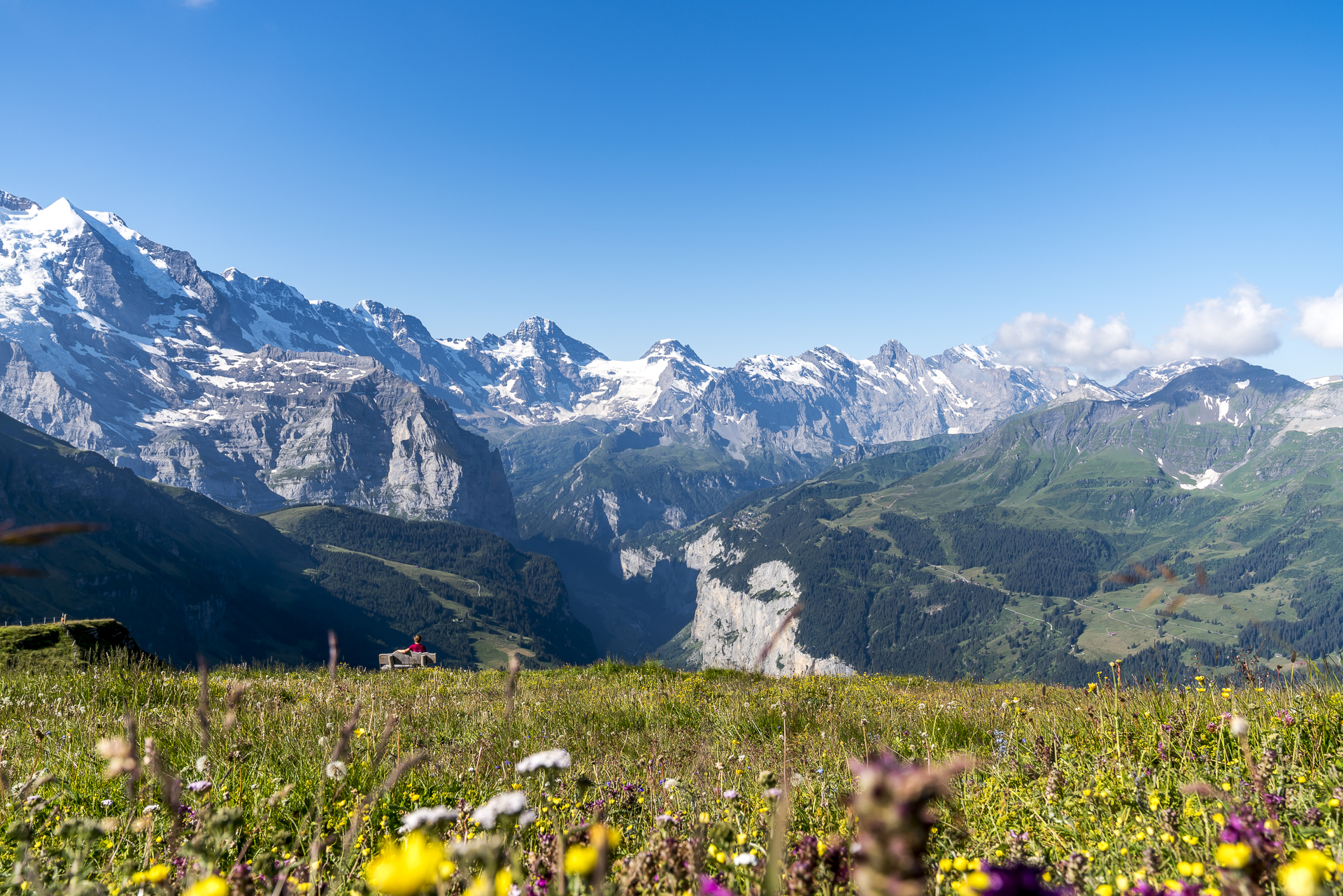 Männlichen Panorama