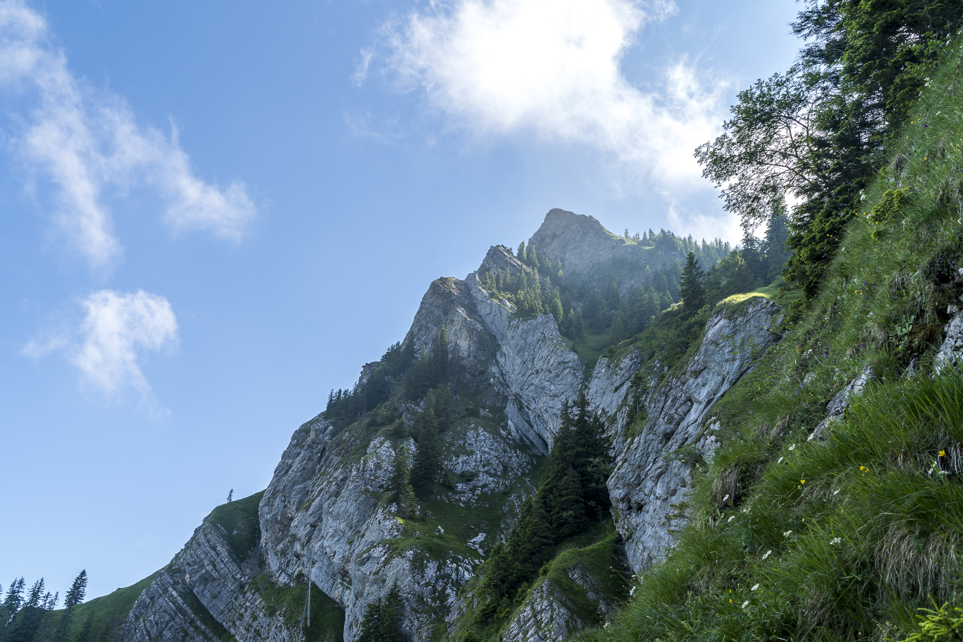 Pilatus Rückeite
