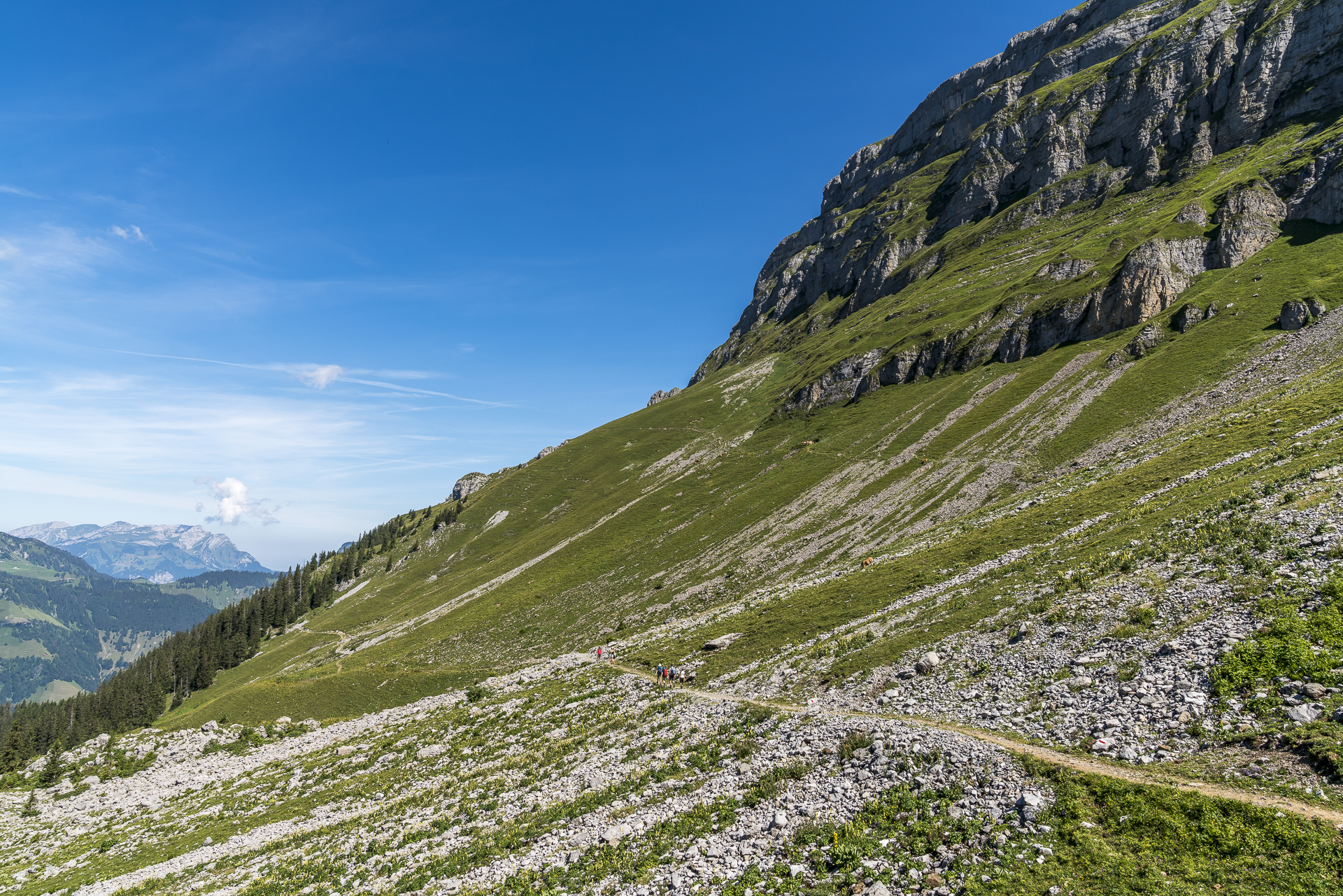 Walenpfad Engelberg Oberrickenbach