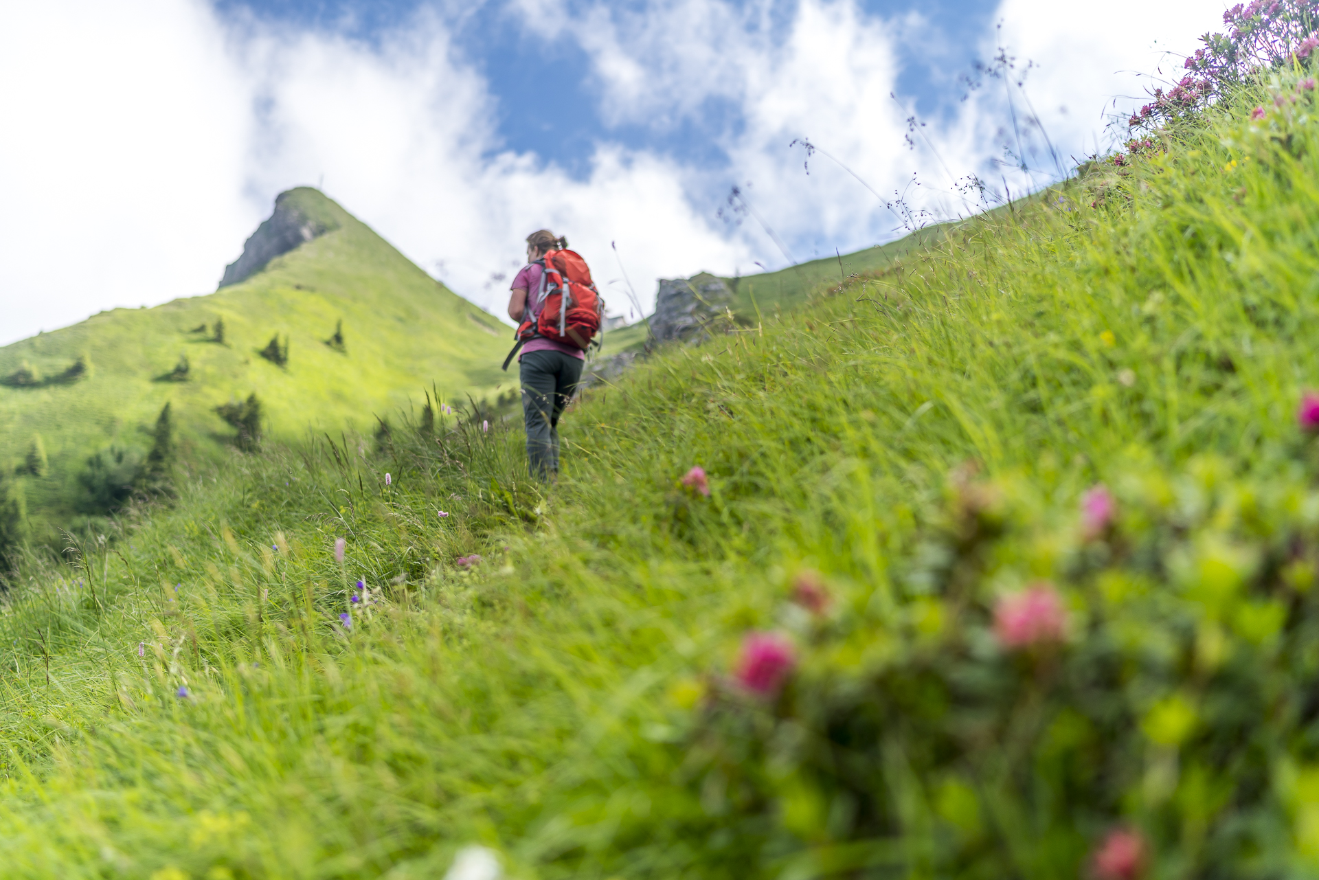 Wanderweg zum Klimsenhorn