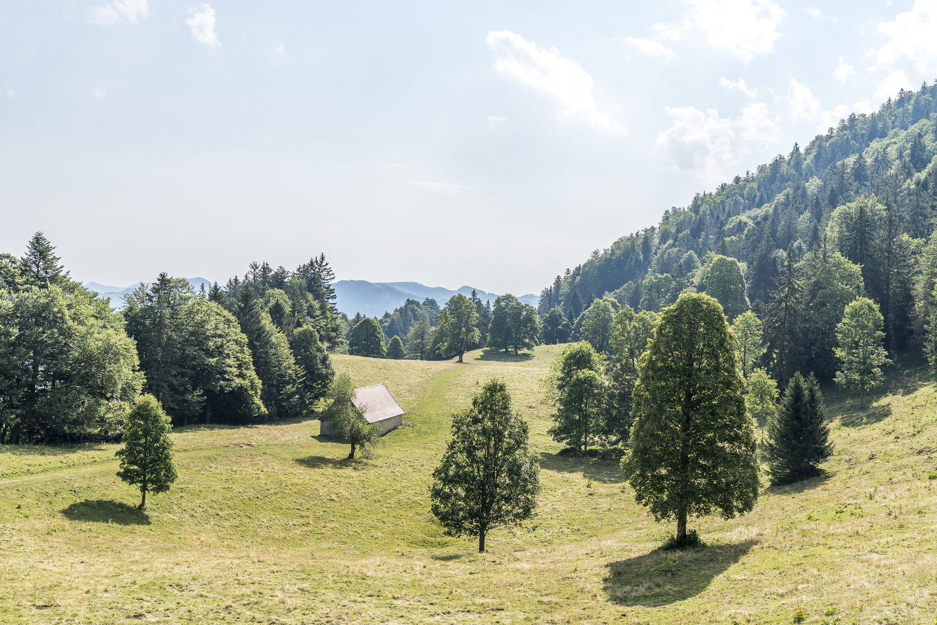 Alpen Jura
