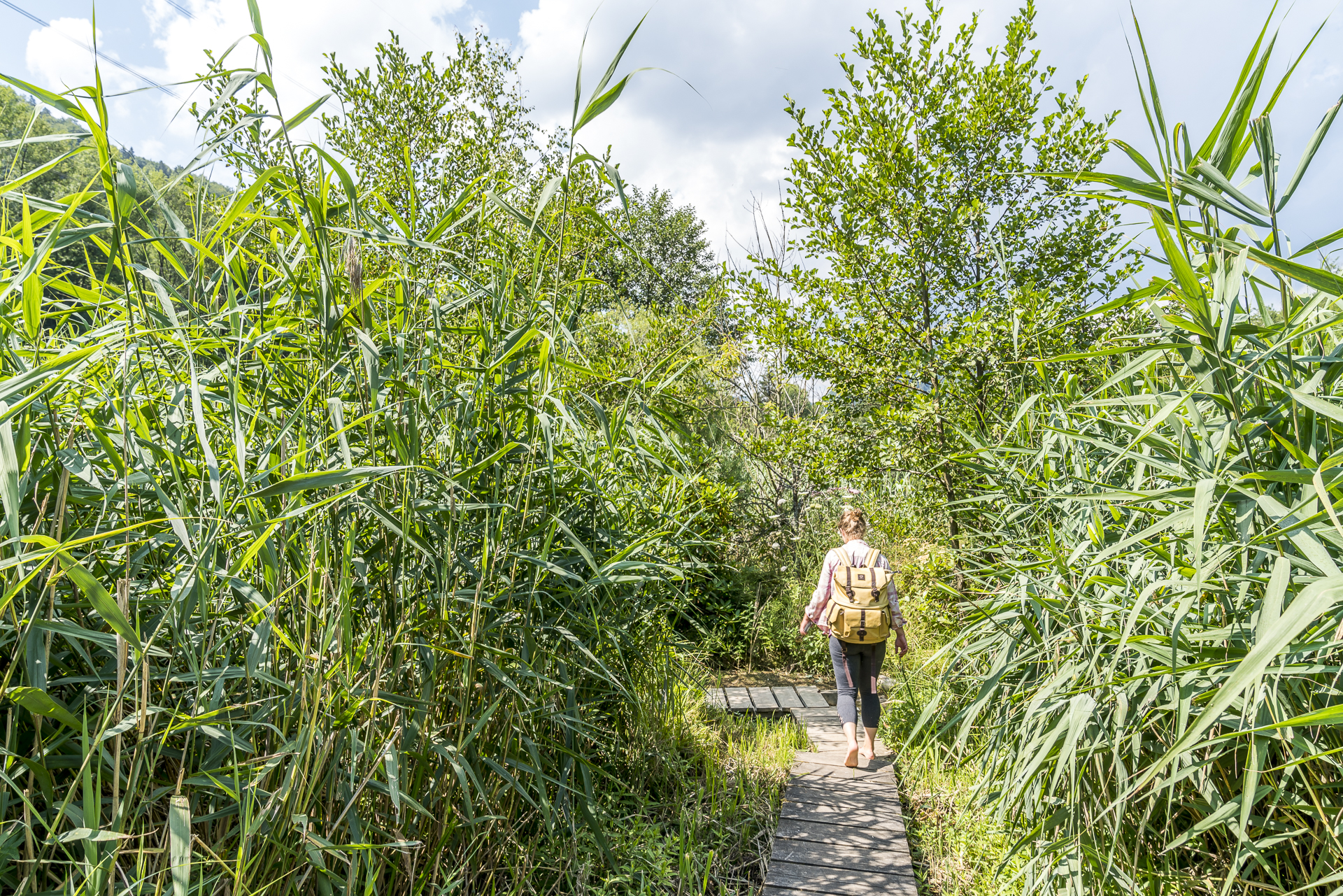 Barfusswanderweg Jura