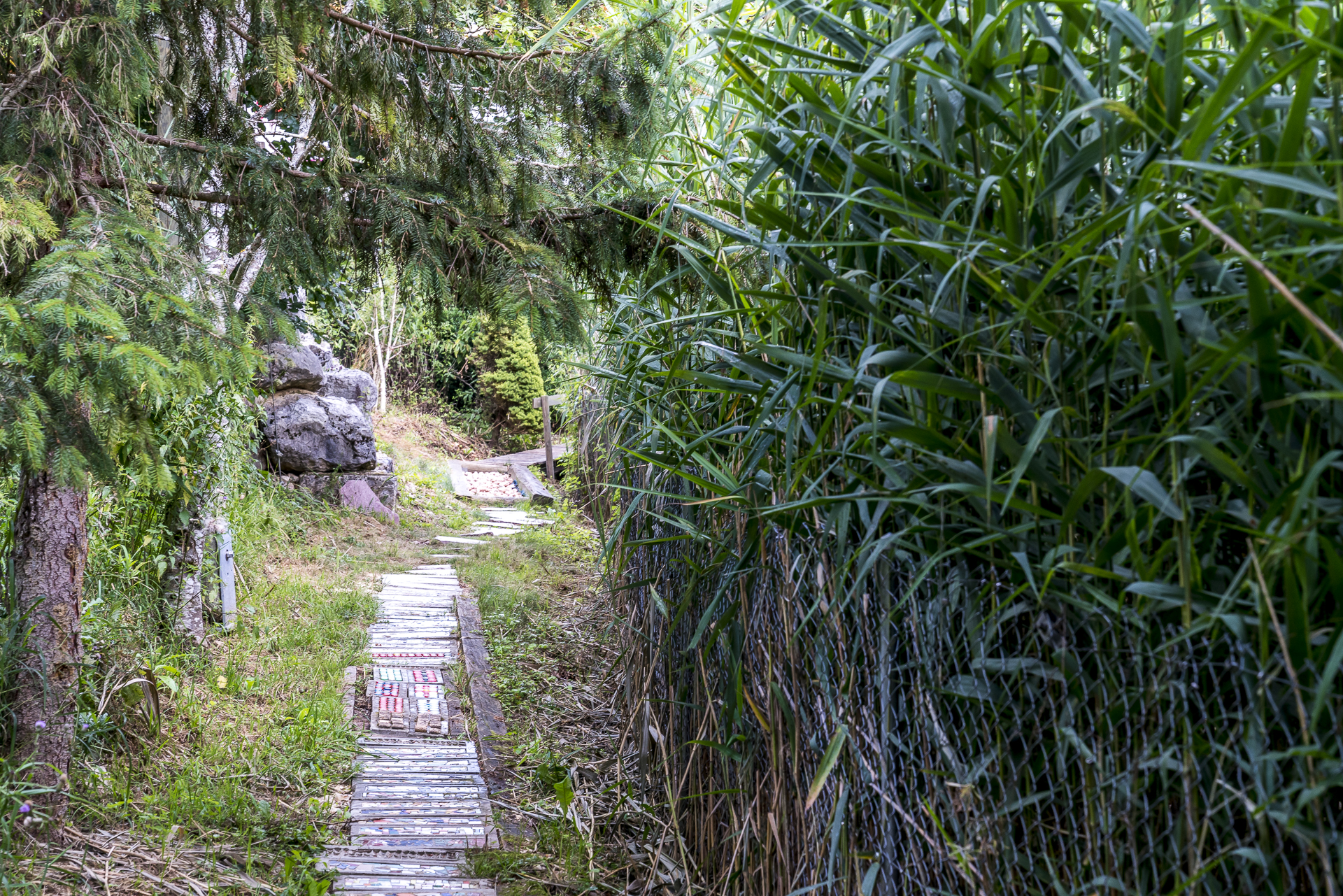 Barfusswanderweg in Rebeuvelier