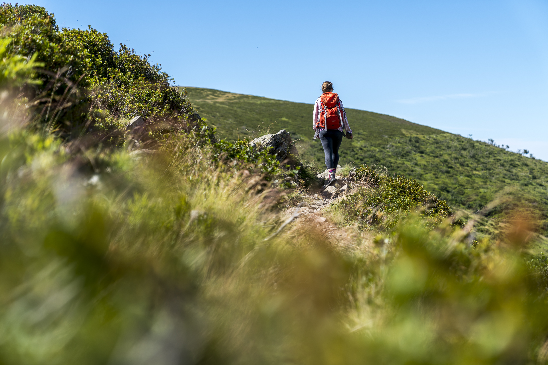 Wandern Detailaufnahme