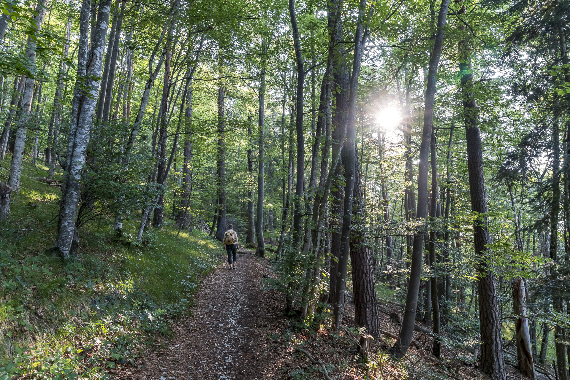 Raimeux Wald