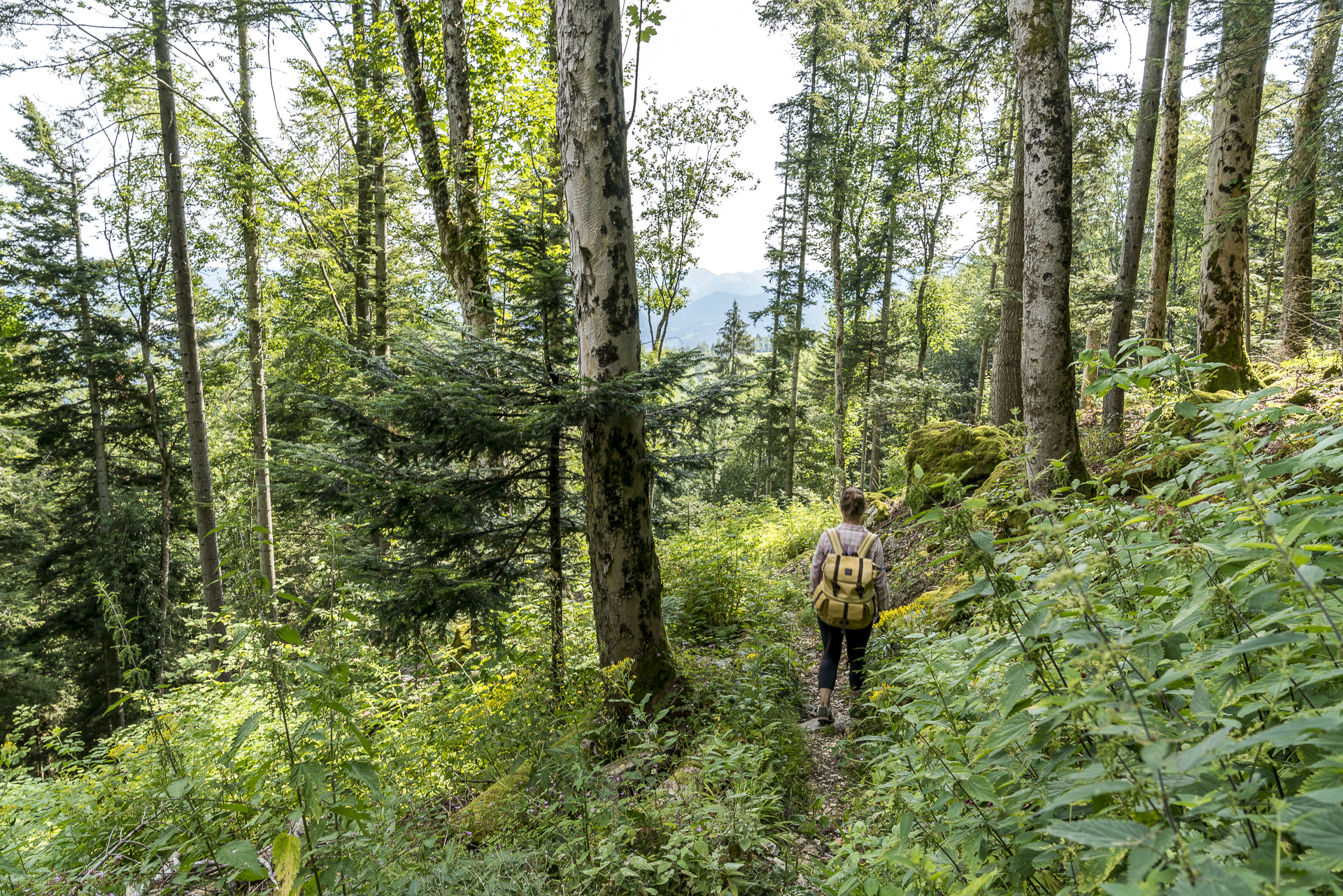Via Jura Moutier Delemont