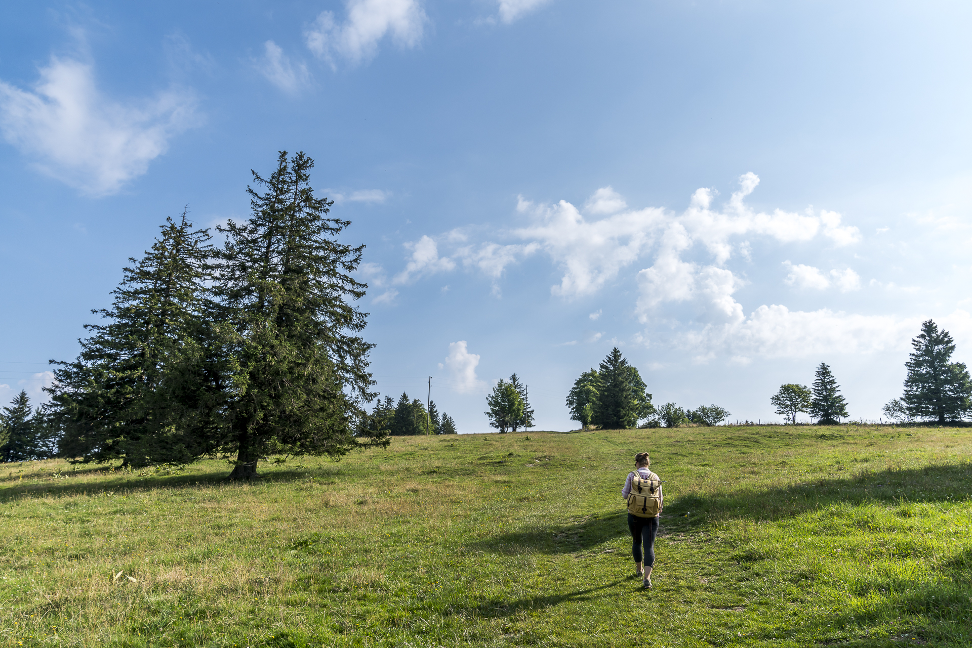 Wandern im Jura