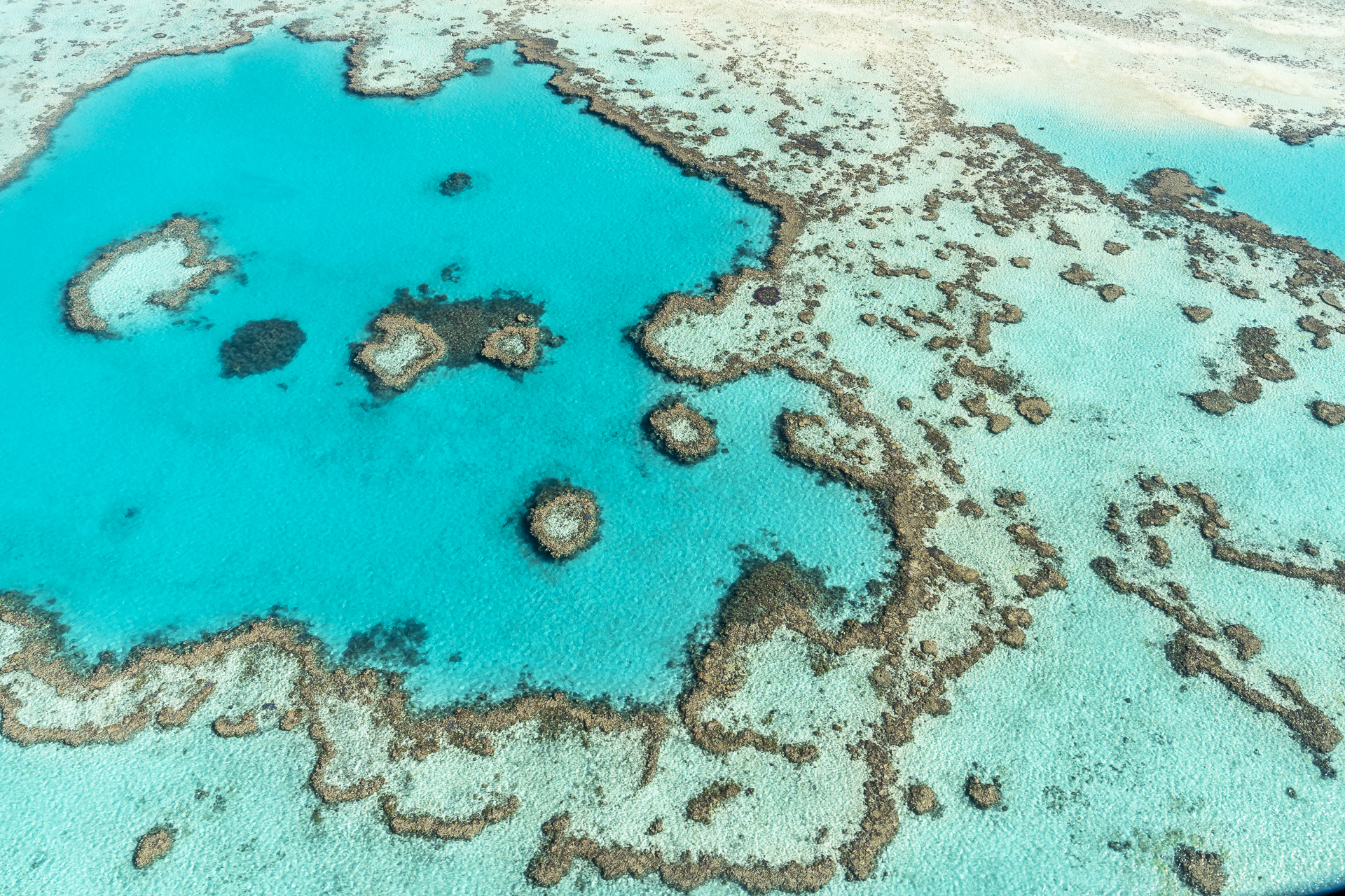 Great Barreier Reef