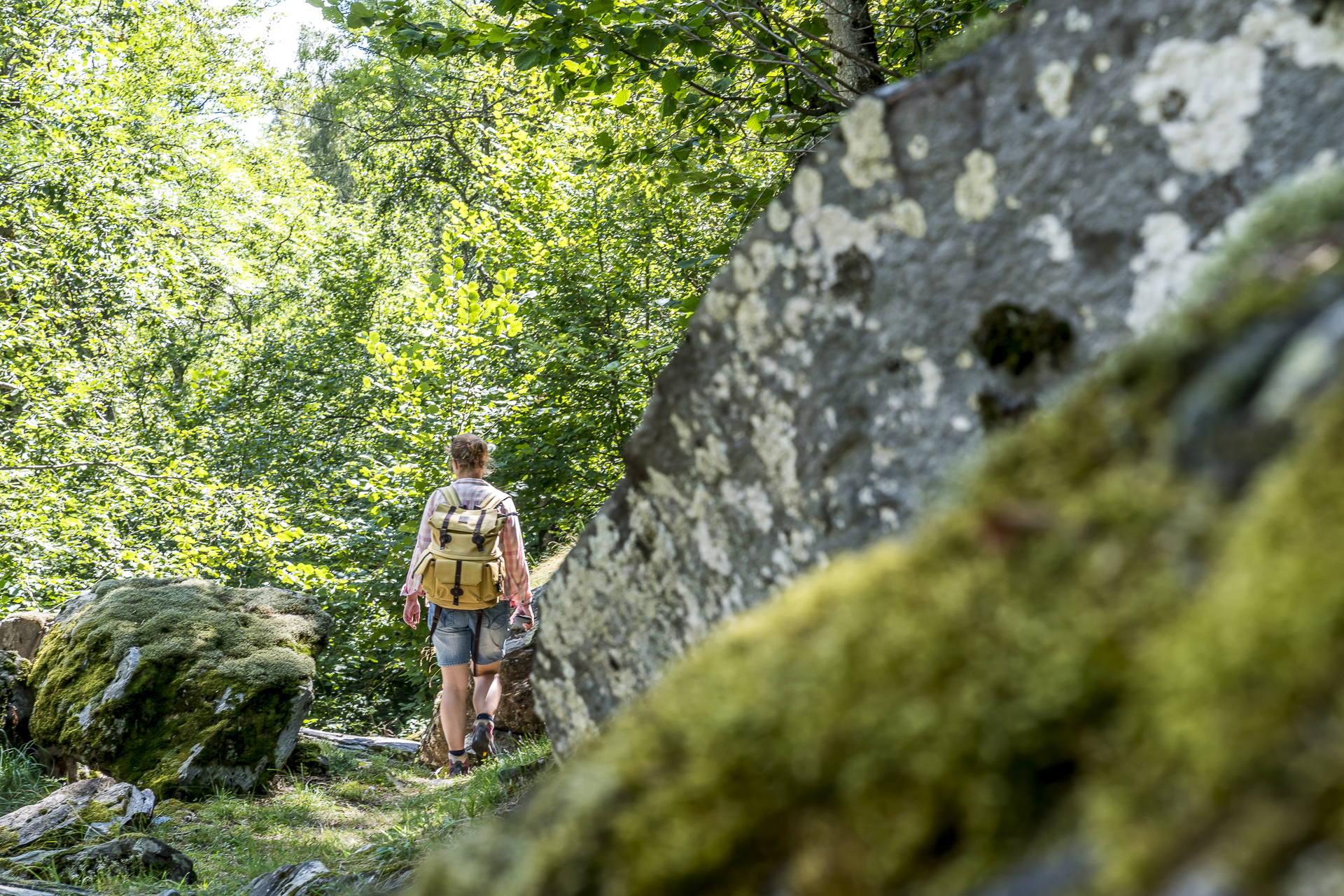 Landarenca San Rocco Wanderweg