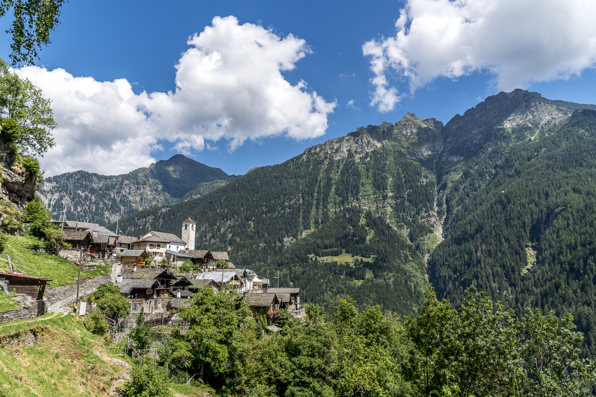 Landarenca im Calanctal