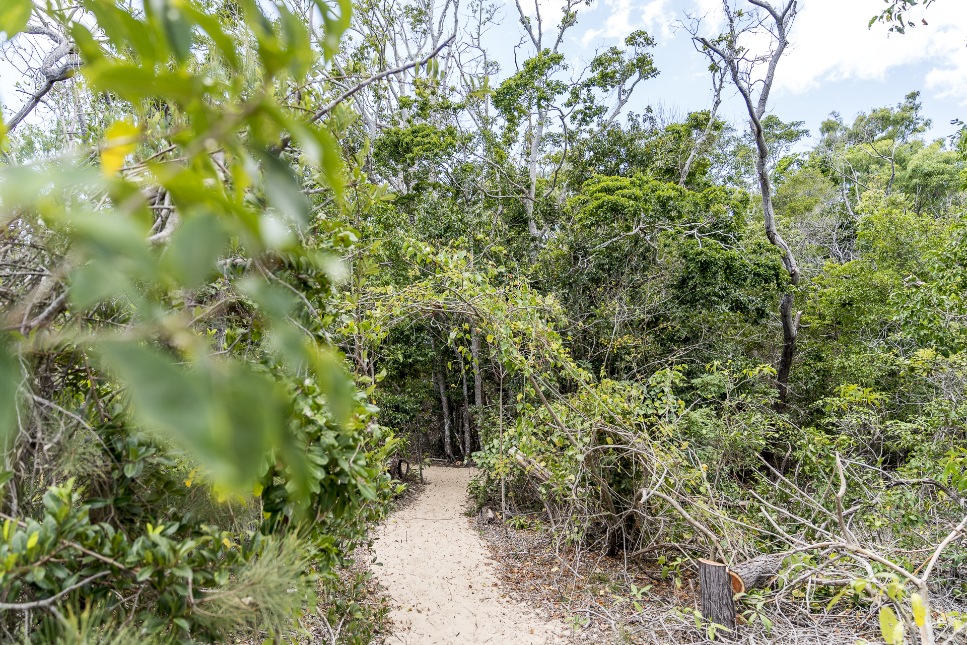 Wanderweg Whitsunday Islands