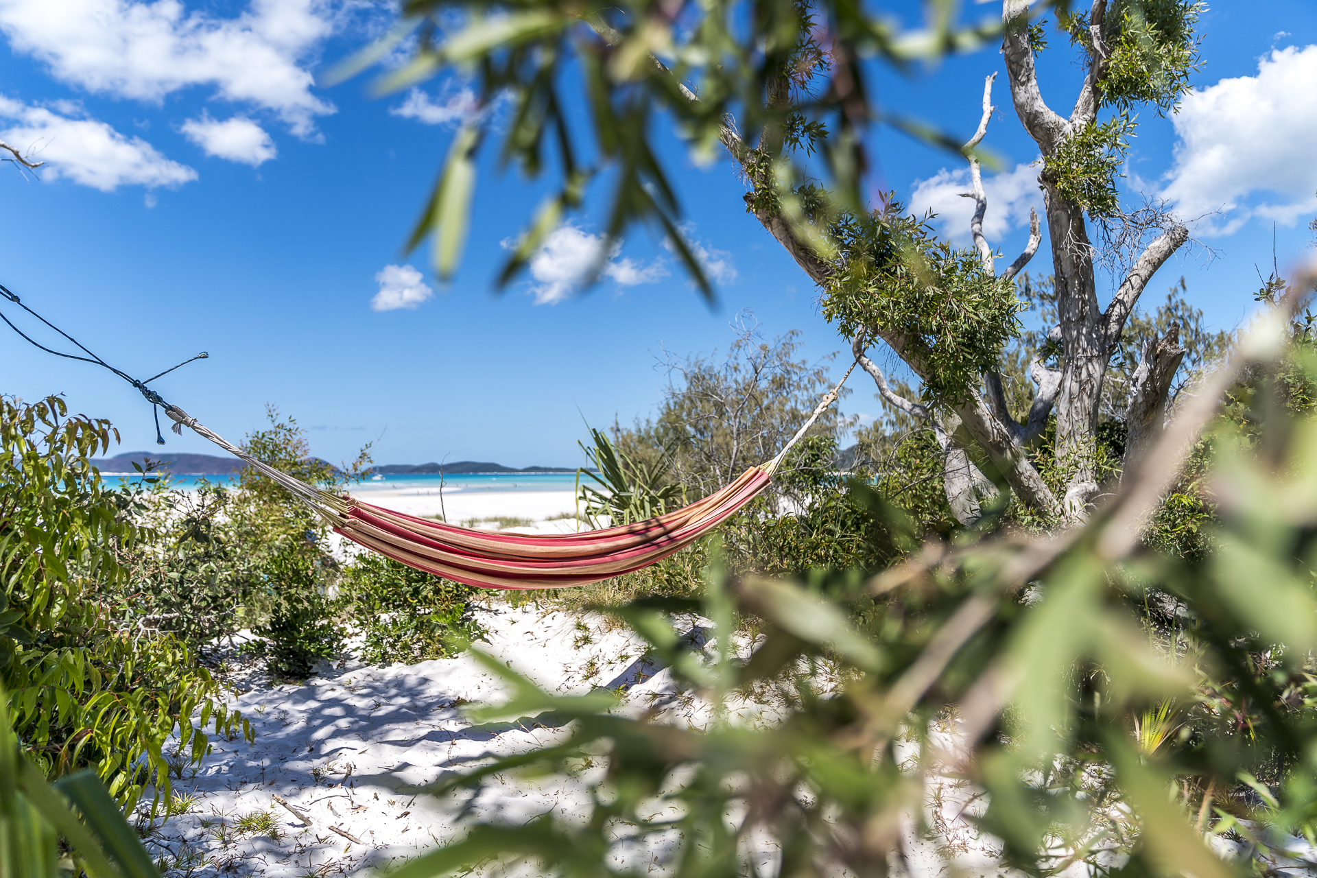 Chilling in Queensland Australia