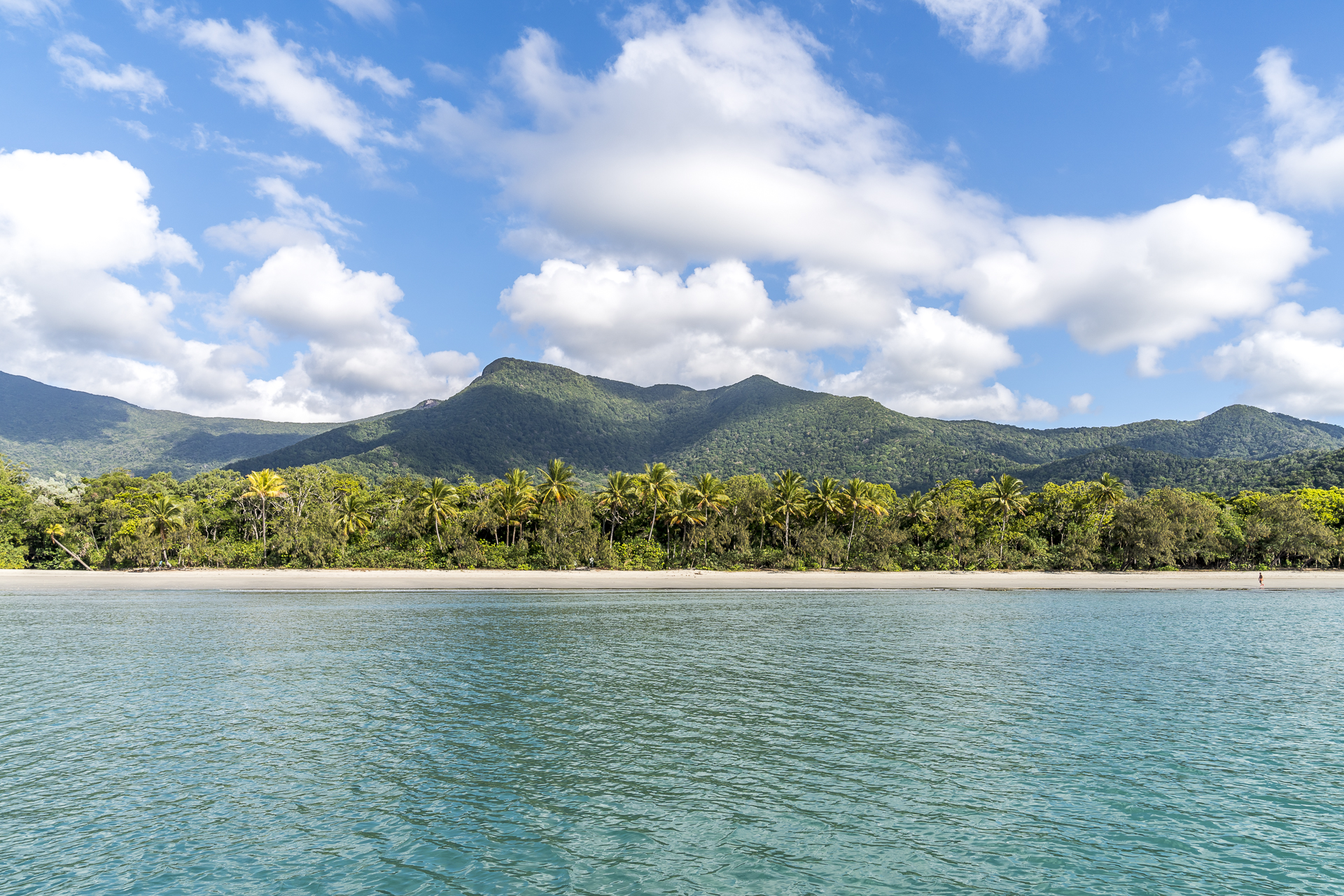 Cape Tribulation