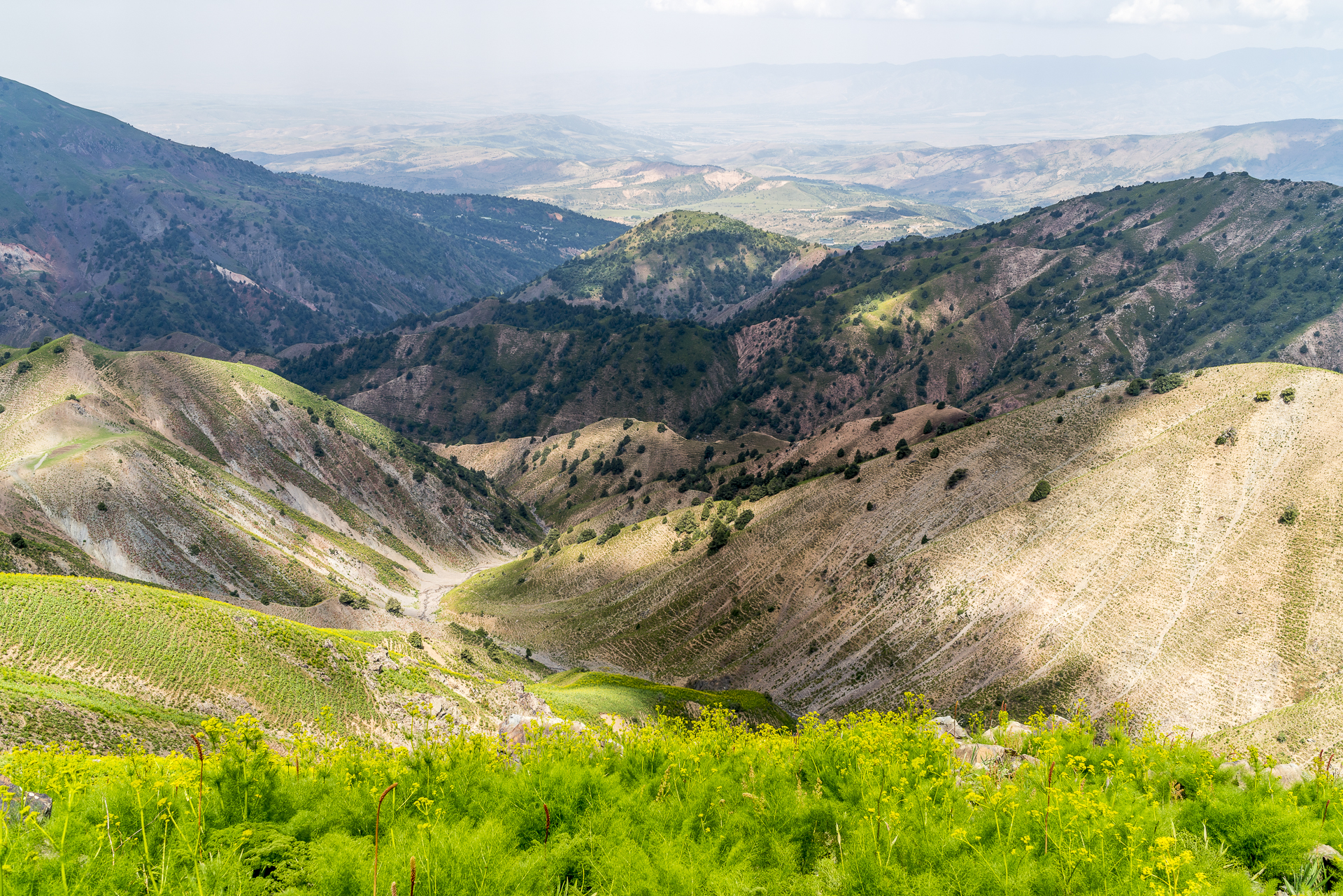Chimgan Gebirge Usbekistan Landschaft