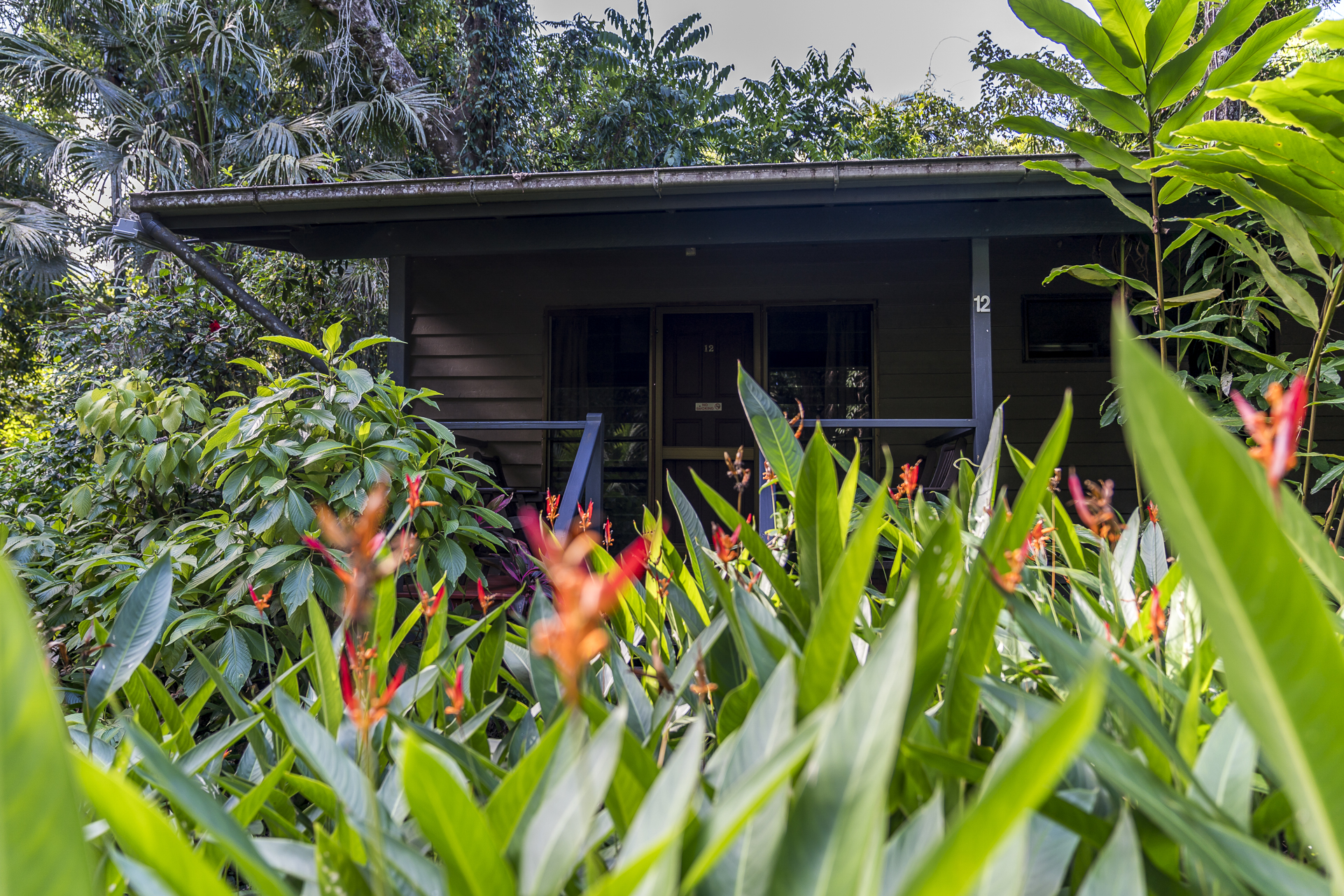 Daintree Heritage Lodge