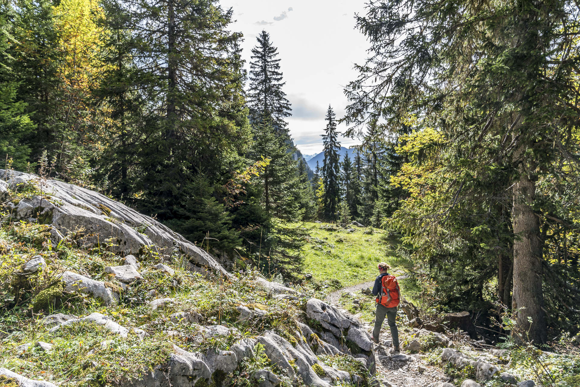 Erlebnispfad Lebensräume Stockhorn