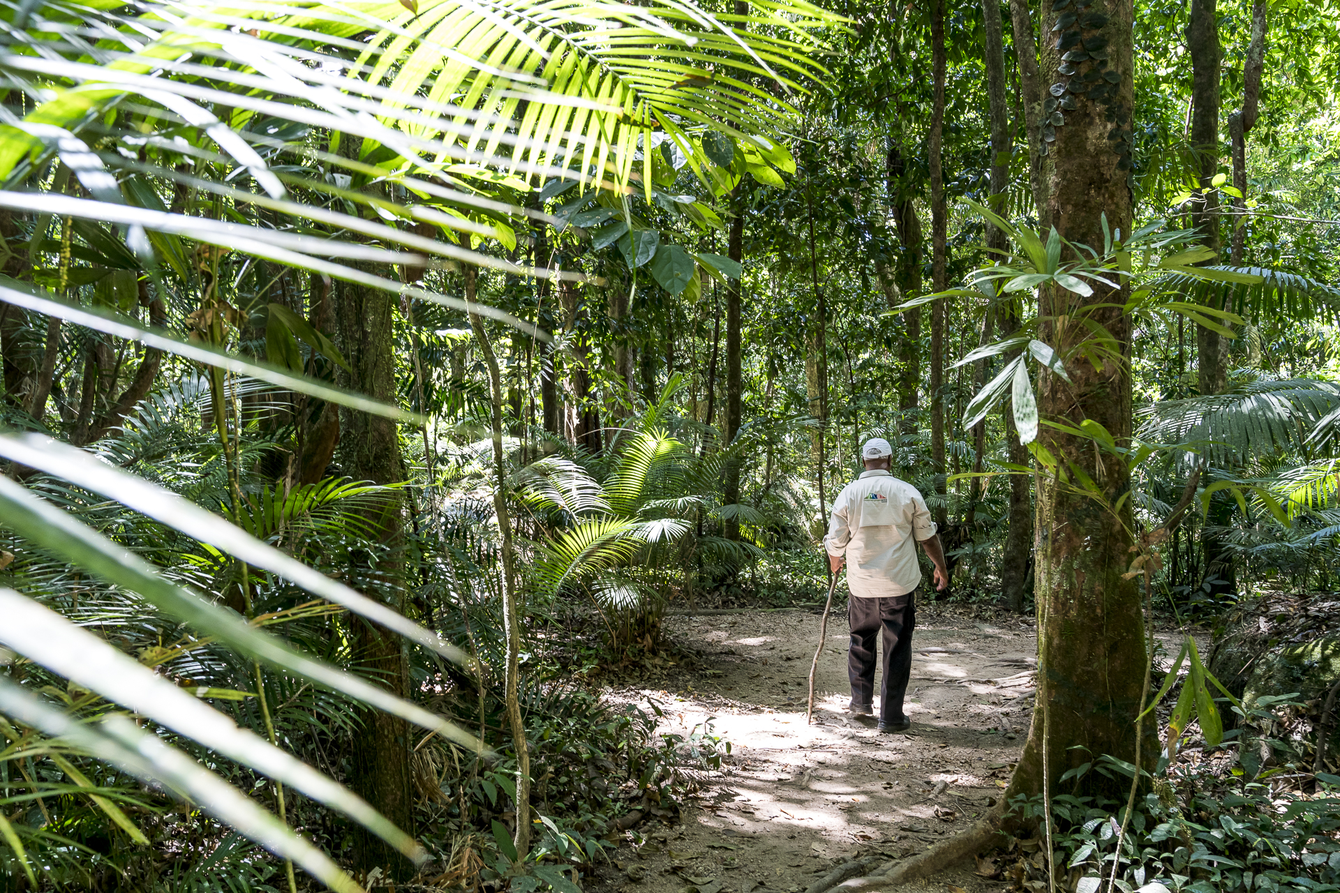 Ngadiku Dreamtime Walks