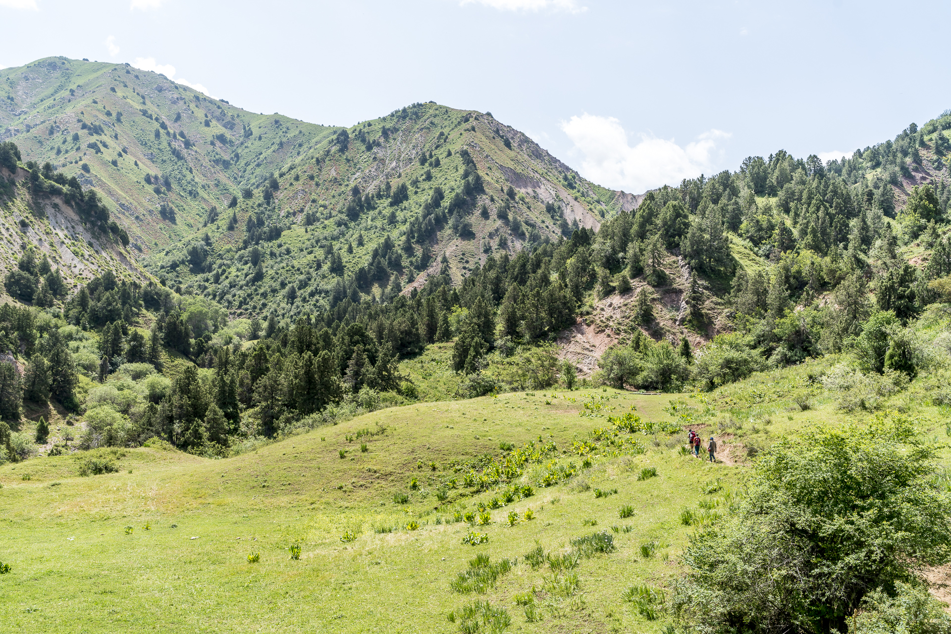 Orta-Kumbel Pass Usbekistan