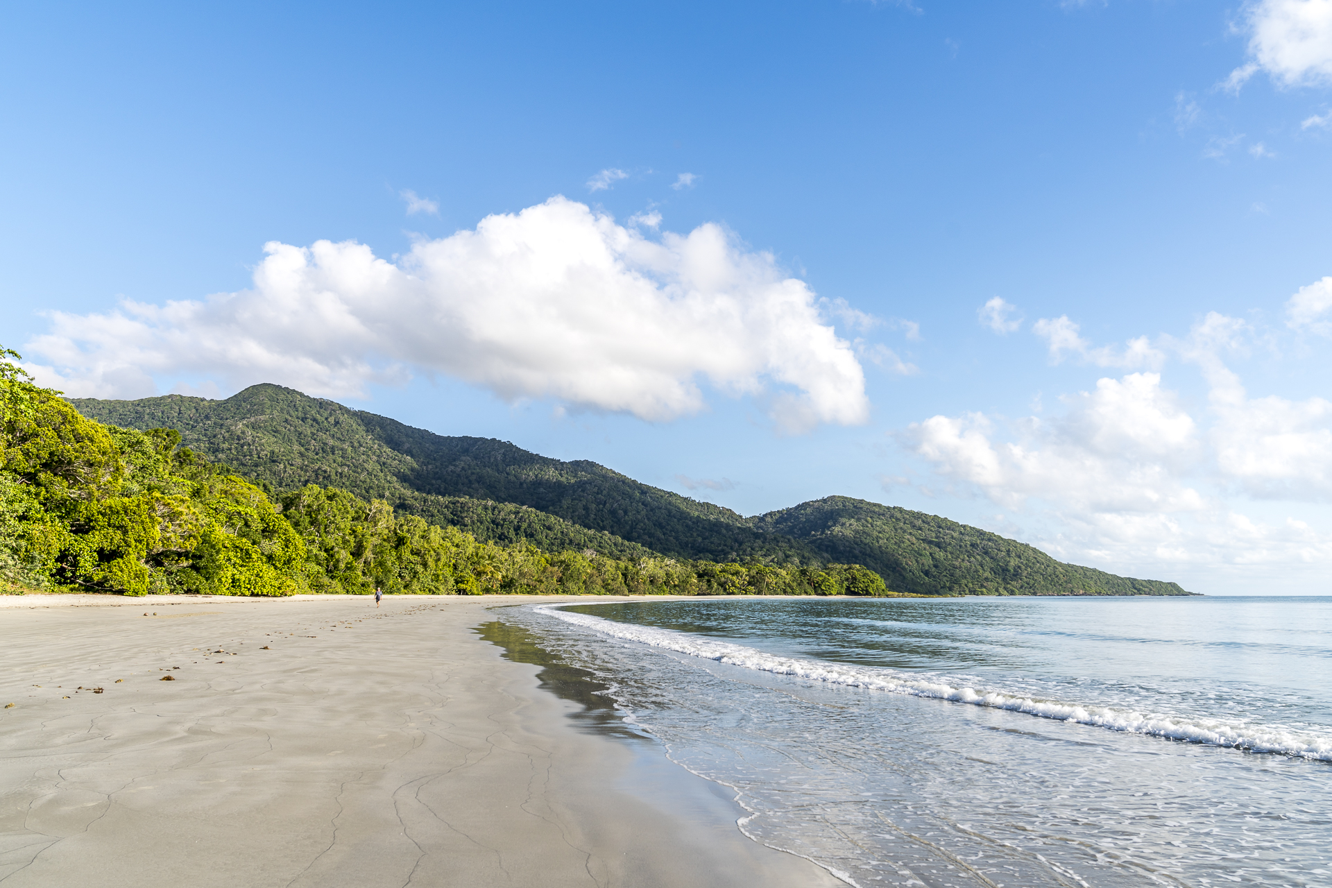 Regenwald trifft auf Meer
