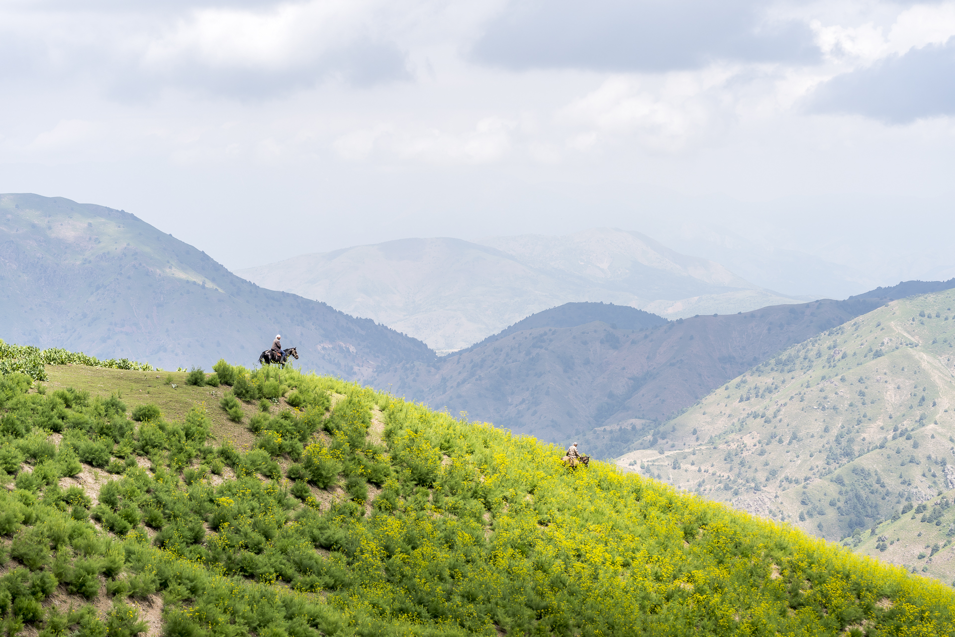 Reiter im Chimgan Gebirge