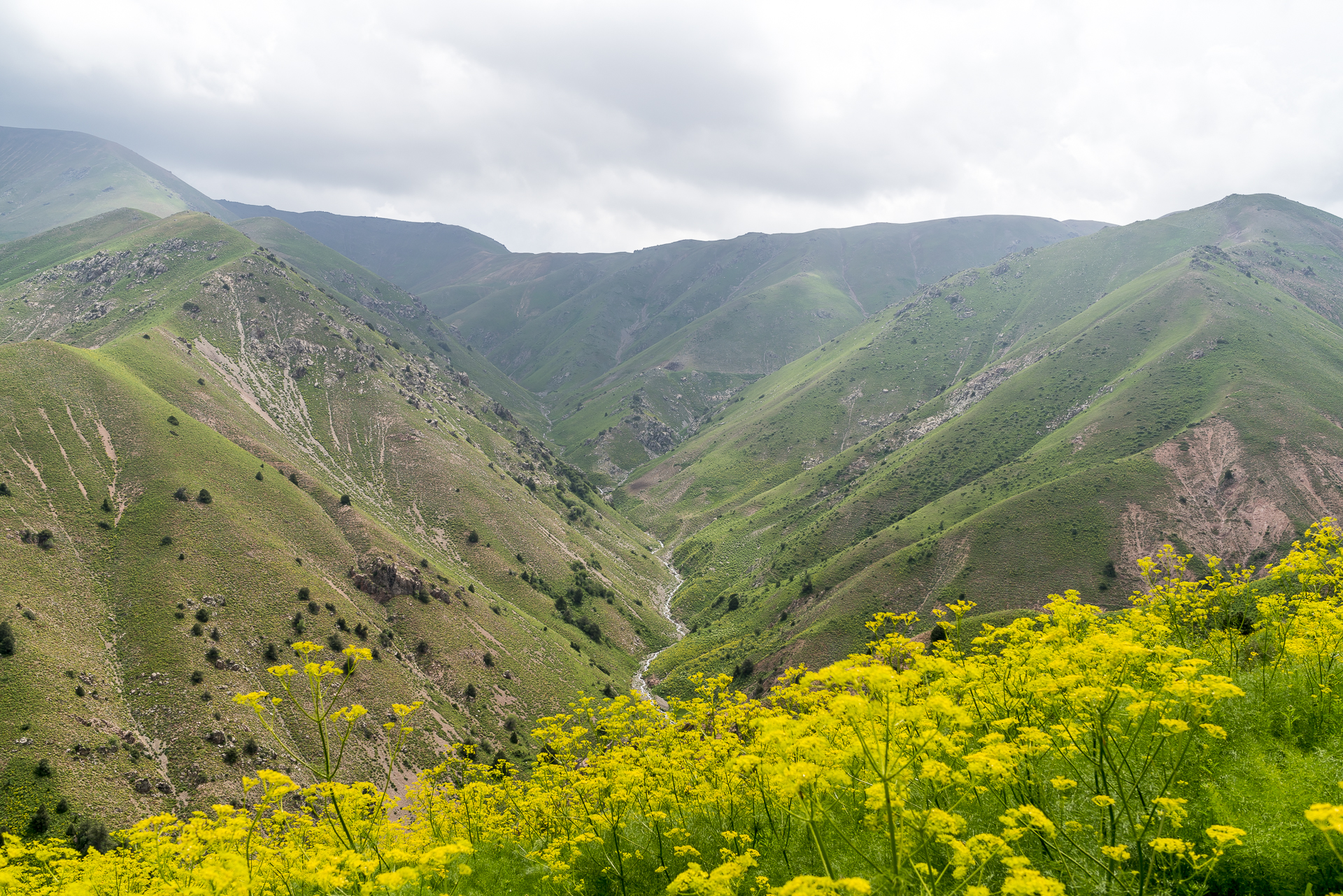 Usbekistan Chimgan Gebirge