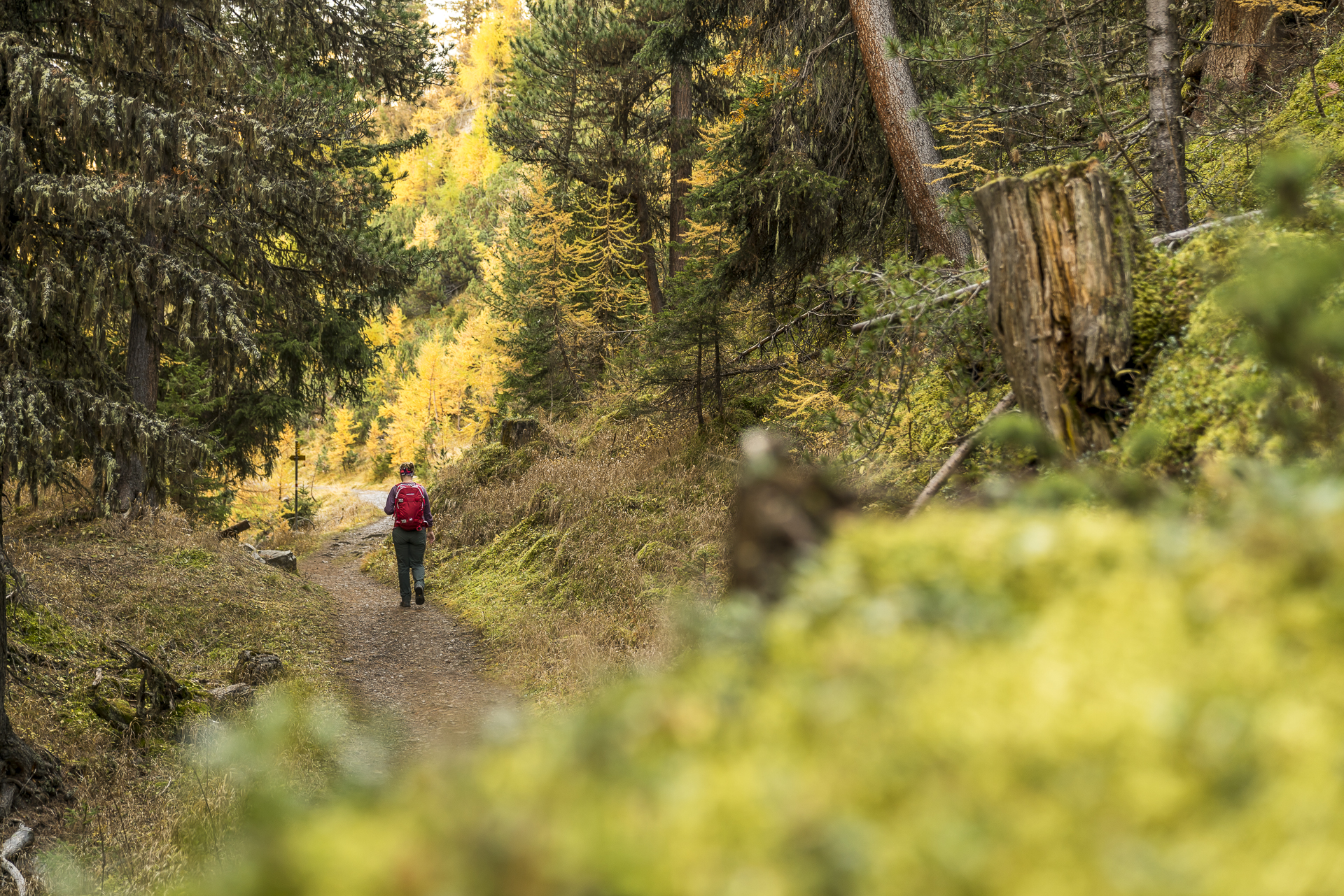 Val Trupchun Wanderweg