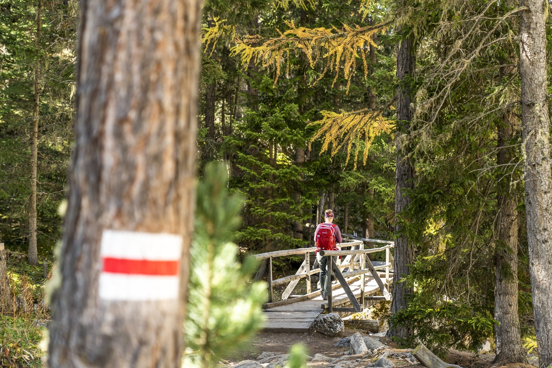 Wandern im Schweizerischen Nationalpark