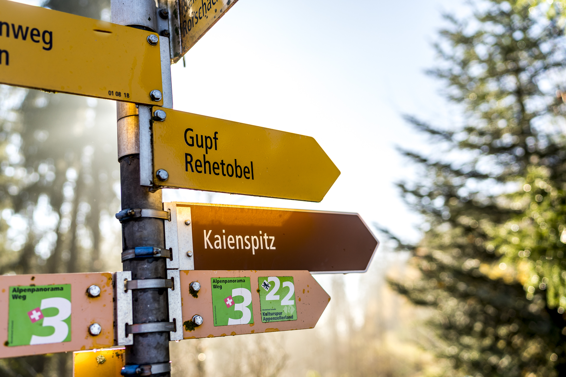 Alpenpanoramawanderung Kaienspitz