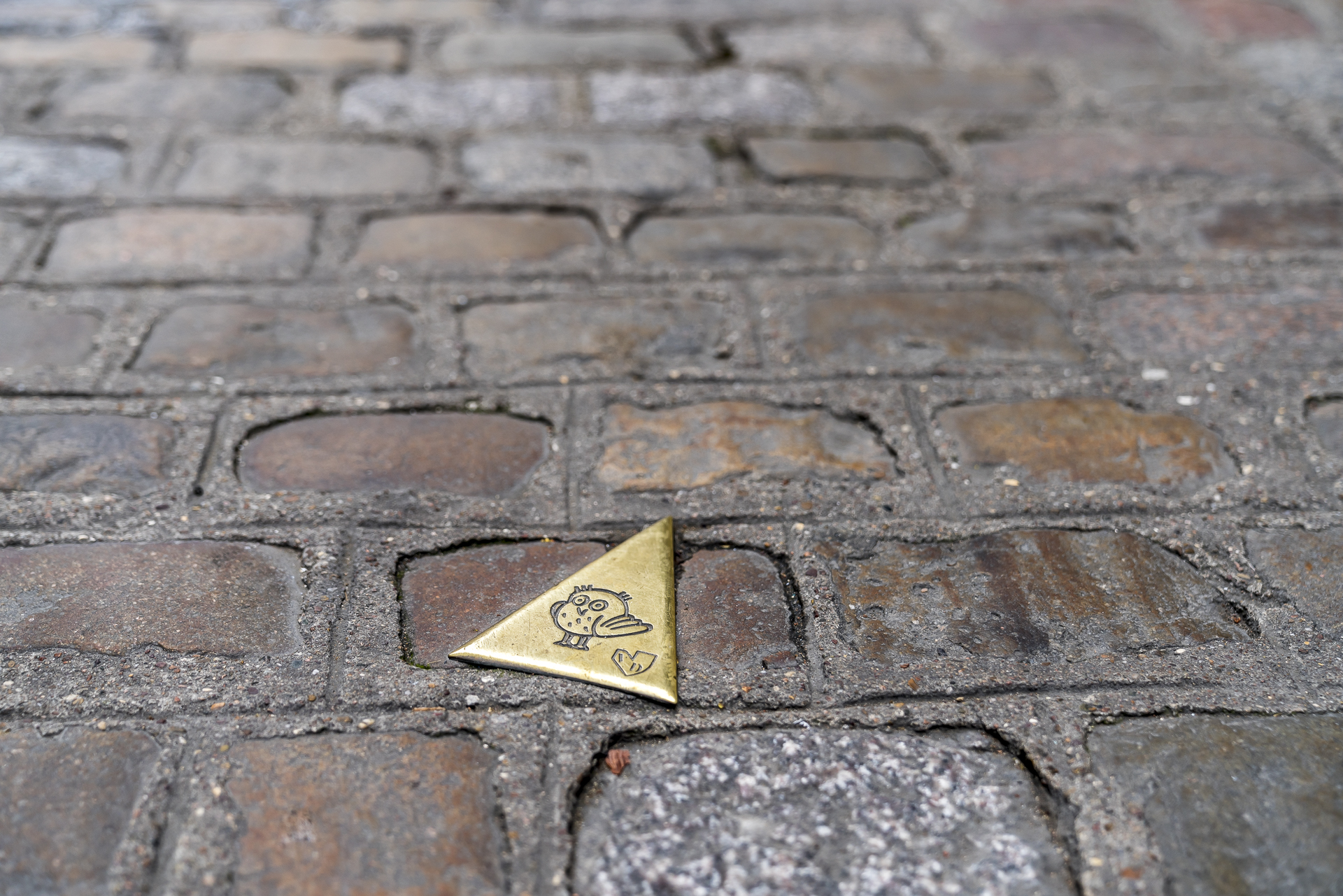 Eulenrundgang Dijon
