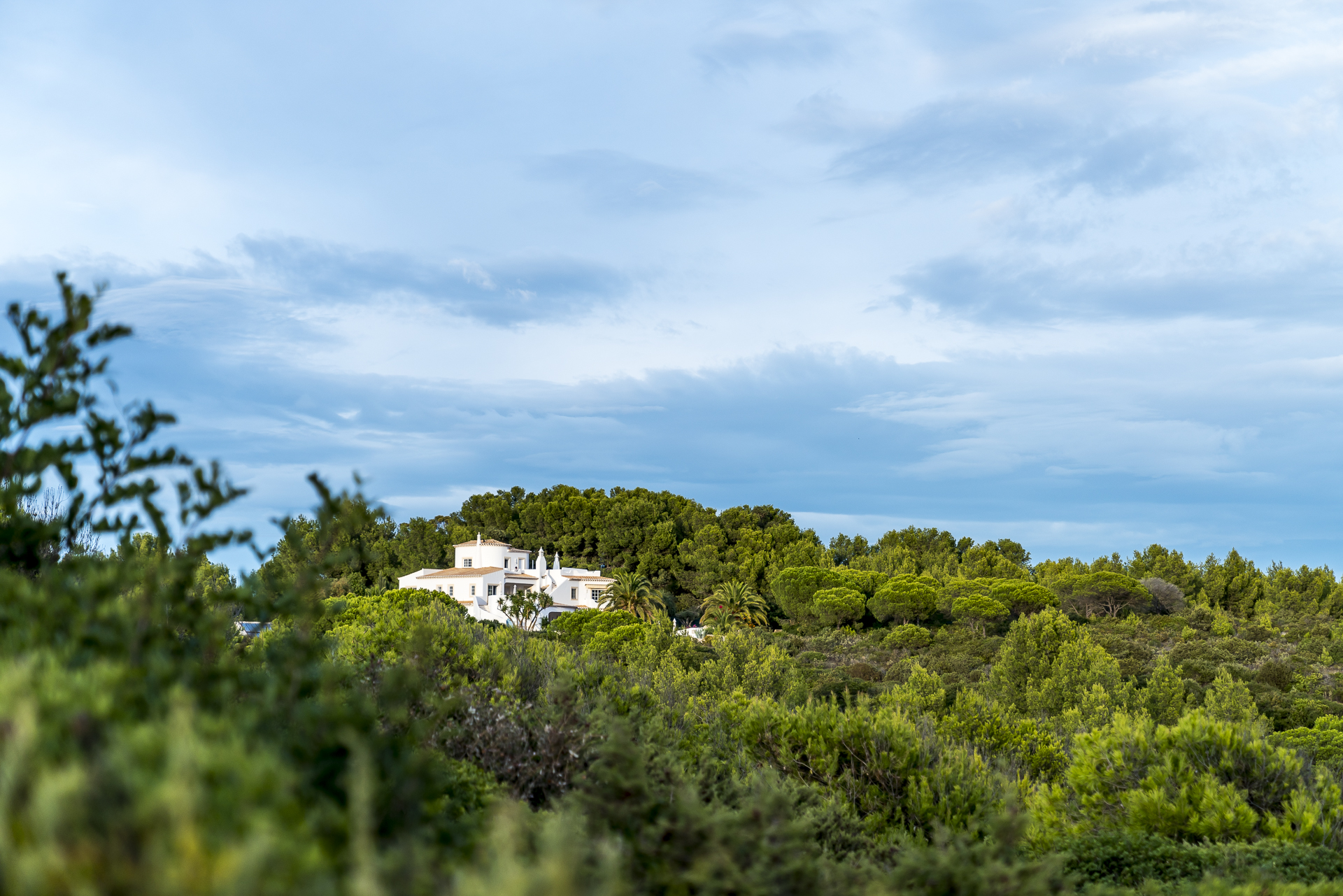 Felsenalgarve Küste