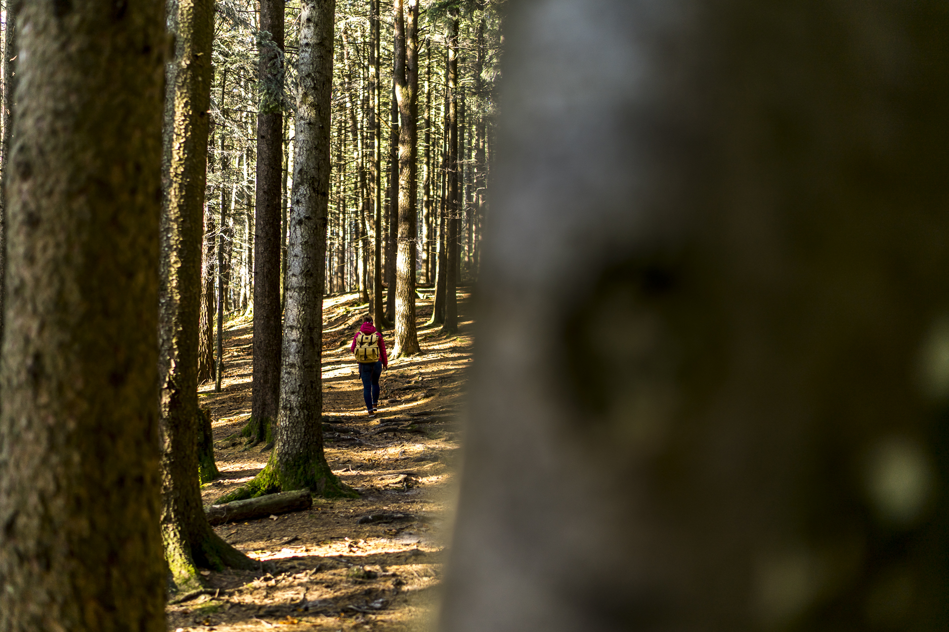 Wanderung Heiden Gupf