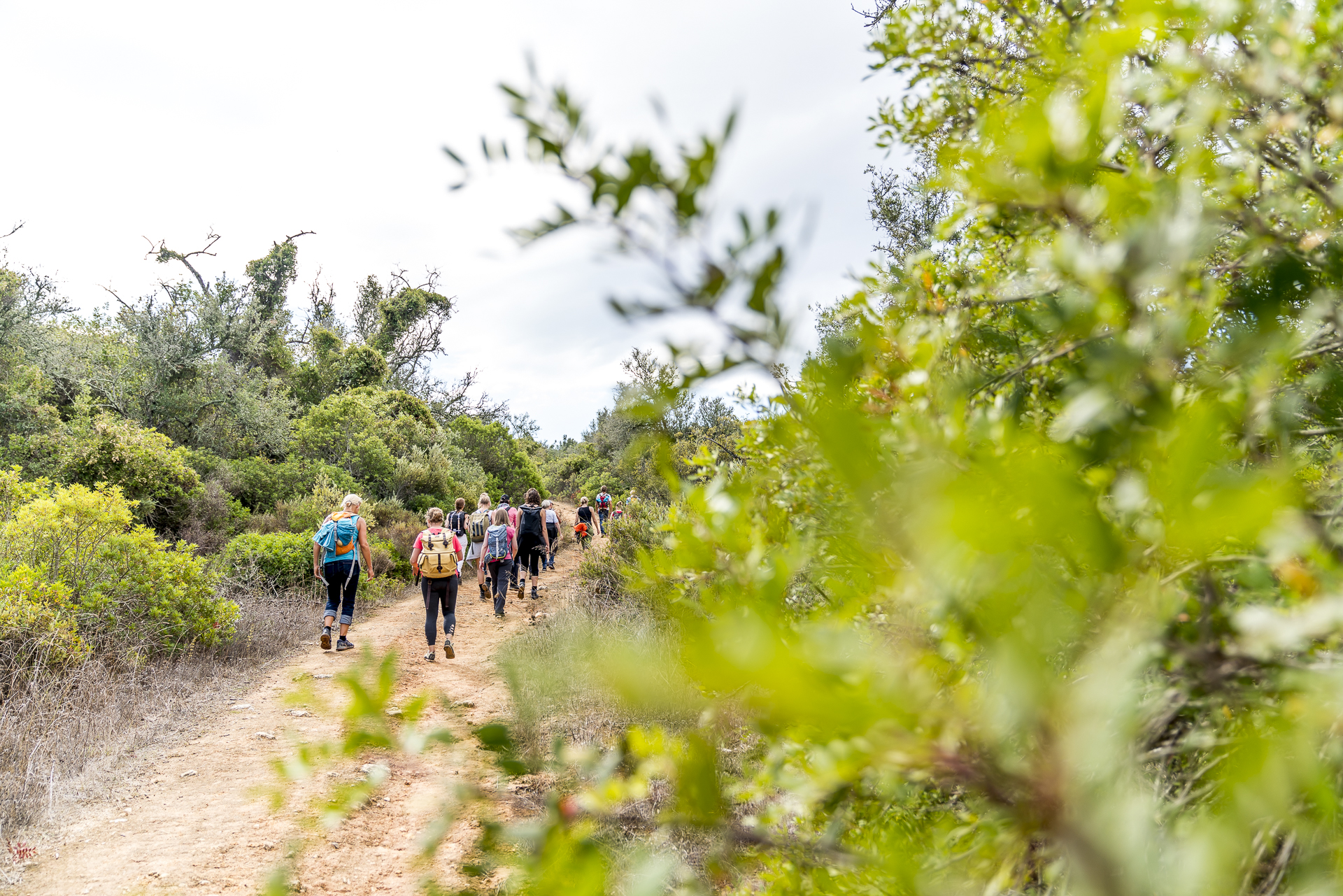 Klippenwandern Algarve