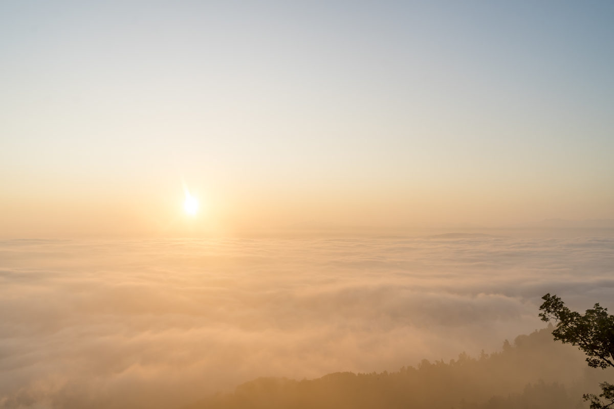 Sonnenaufgang Uetliberg oberhalb von Zürich
