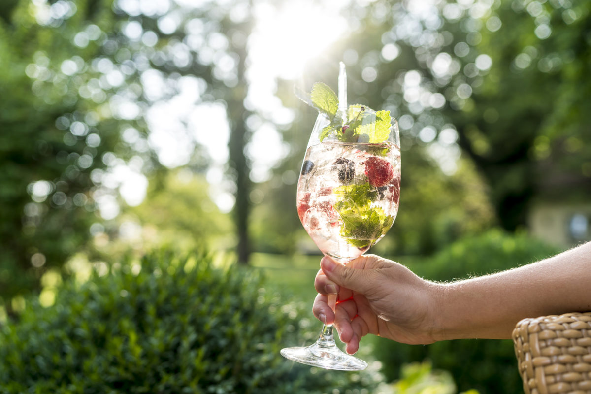 Schlosshotel Friedrichsruhe Apéro