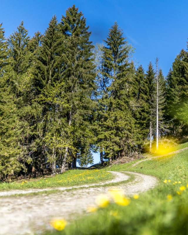Seewis Prättigau