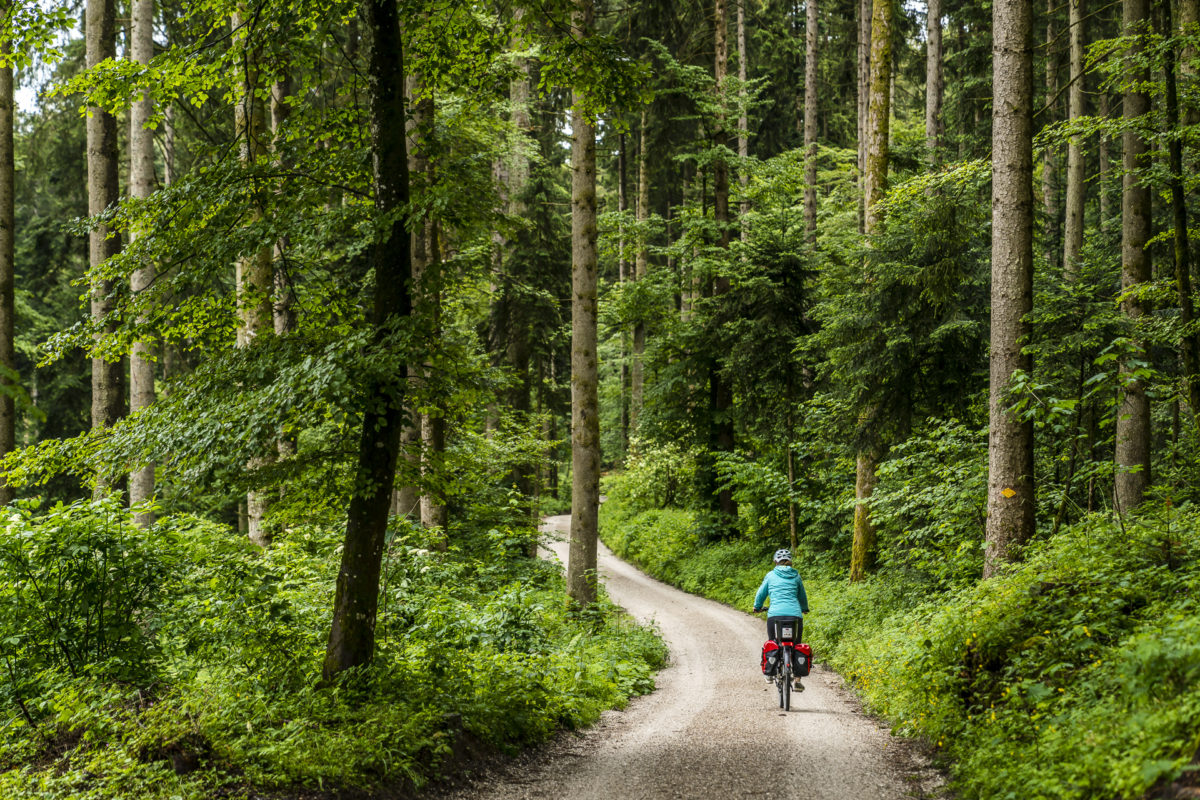 Gibelegg Längenberg