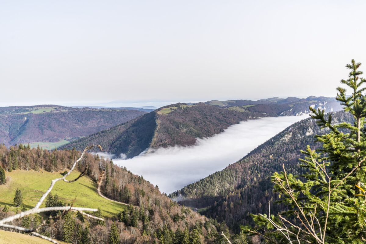 Hasenmatt Panorama